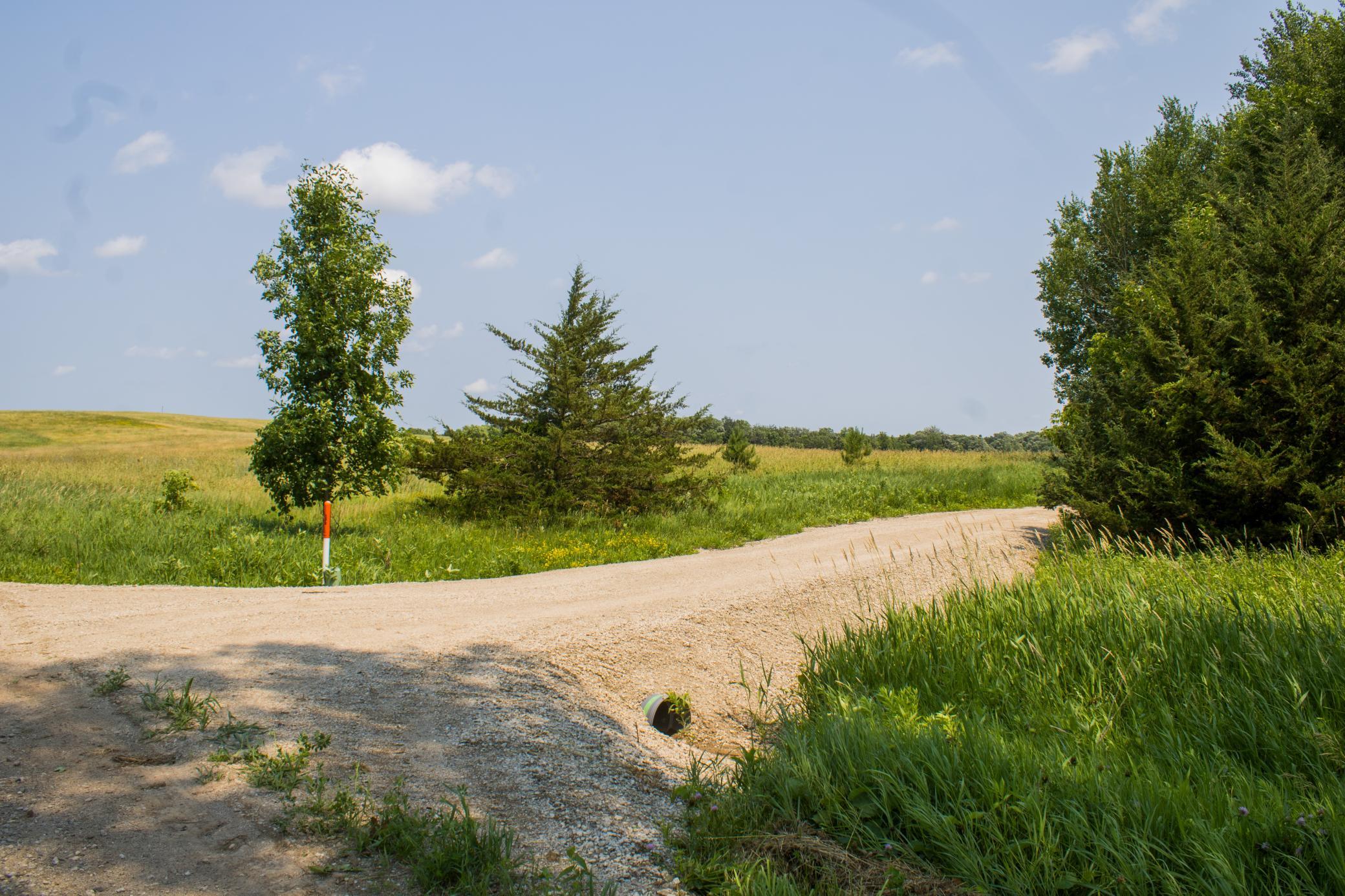 View of Land at 0000 Fourth Avenue, South Haven MN 55382, South Haven (4 of 17) - Mike Wilen | Minnesota Team Real Estate