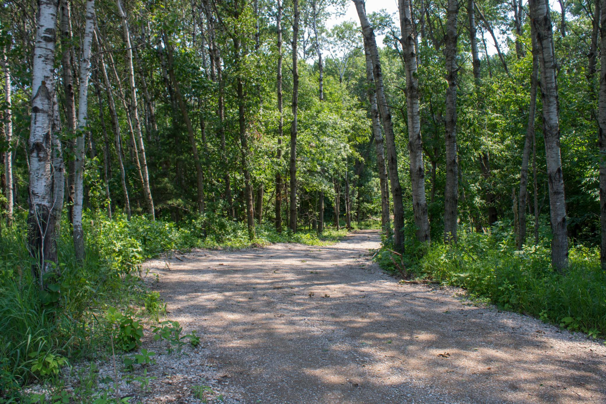 View of Land at 0000 Fourth Avenue, South Haven MN 55382, South Haven (3 of 17) - Mike Wilen | Minnesota Team Real Estate