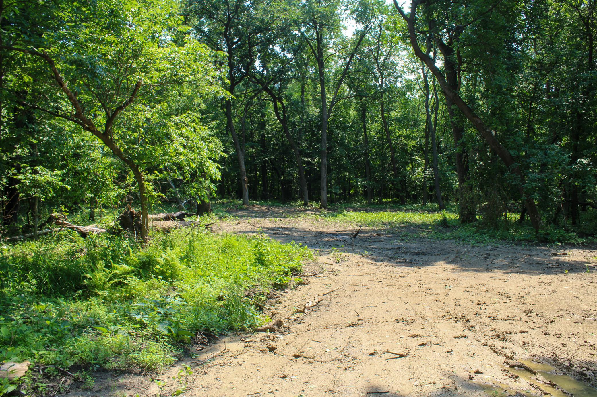 View of Land at 0000 Fourth Avenue, South Haven MN 55382, South Haven (2 of 17) - Mike Wilen | Minnesota Team Real Estate