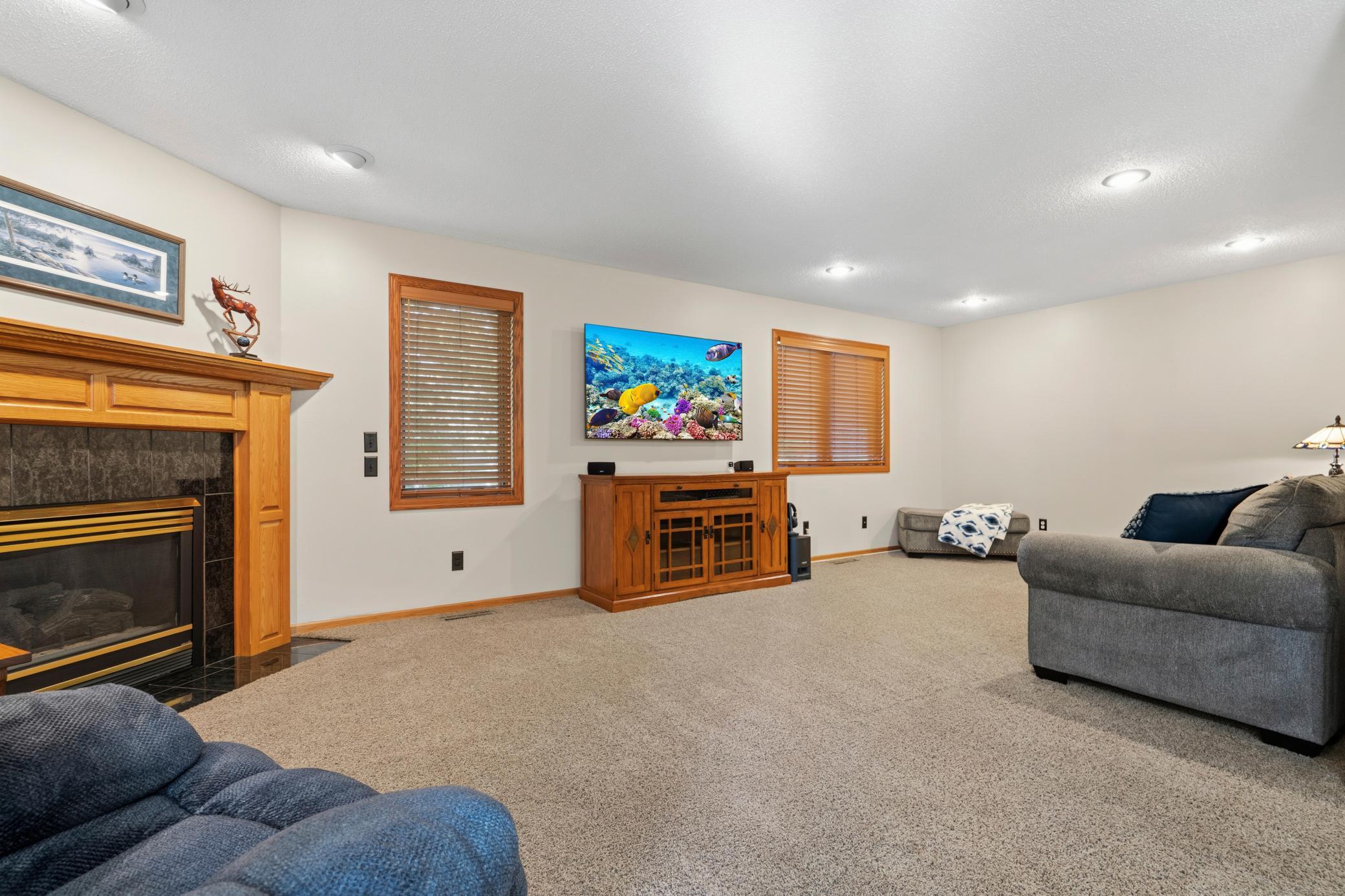 View of Residential at 1432 Cloud Drive, Blaine MN 55449, Blaine (14 of 65) - Mike Wilen | Minnesota Team Real Estate