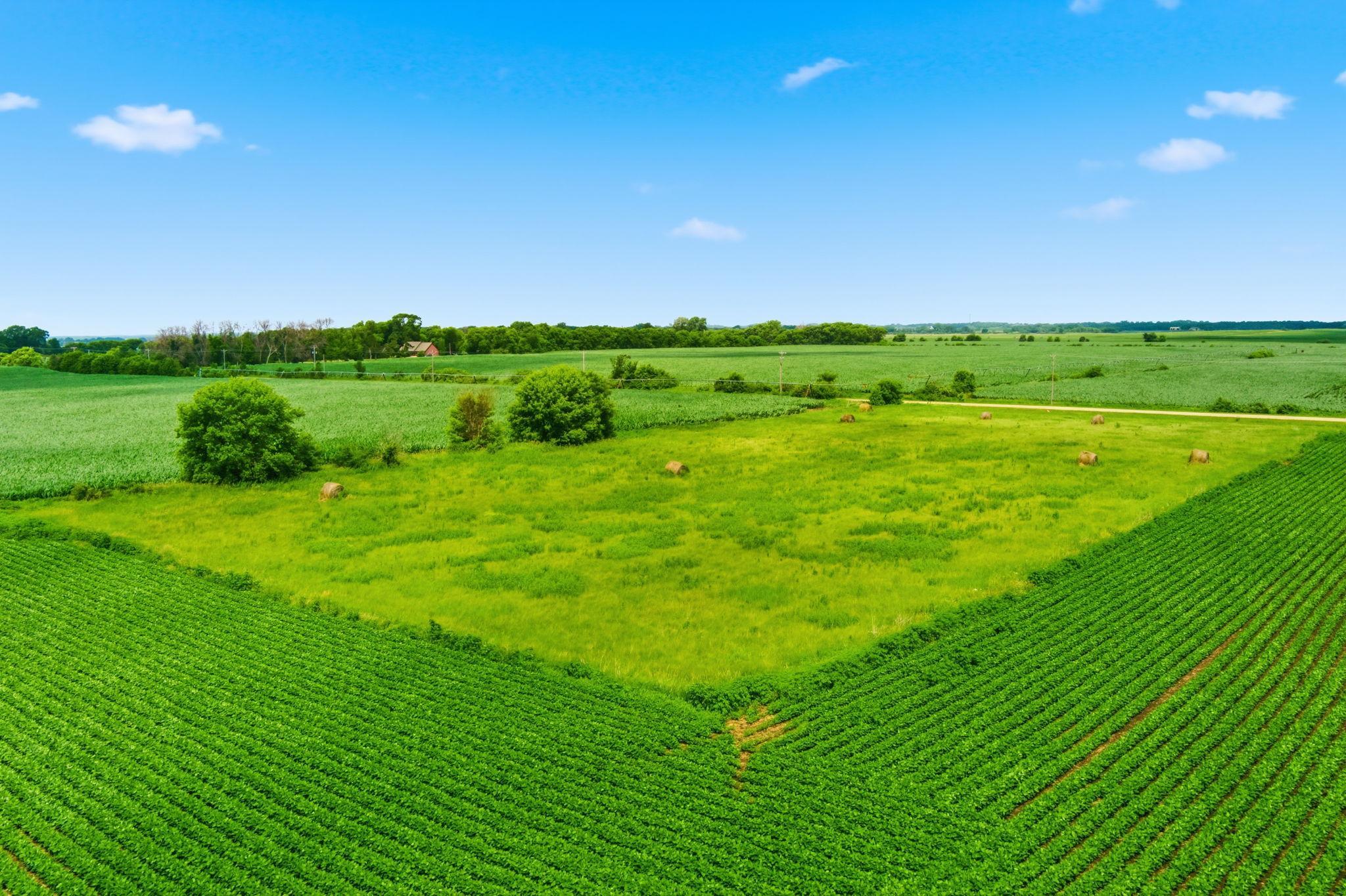 View of Land at XXXX 300th Street, Northfield MN 55057, Northfield (8 of 8) - Mike Wilen | Minnesota Team Real Estate