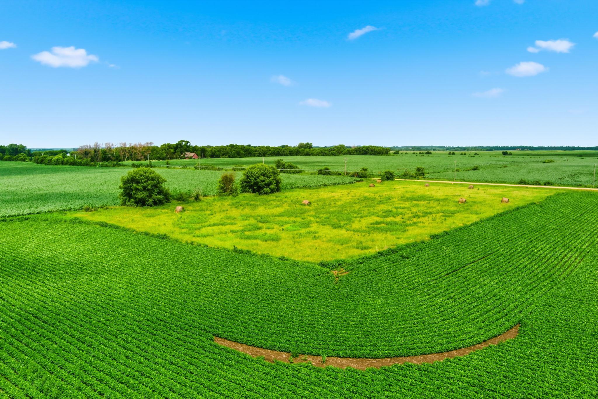 View of Land at XXXX 300th Street, Northfield MN 55057, Northfield (7 of 8) - Mike Wilen | Minnesota Team Real Estate