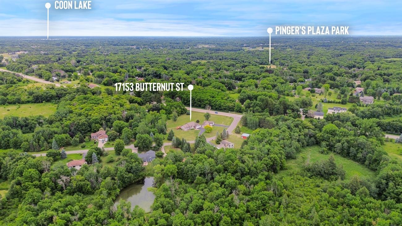 View of Residential at 17153 Butternut Street, Andover MN 55304, Andover (45 of 45) - Mike Wilen | Minnesota Team Real Estate