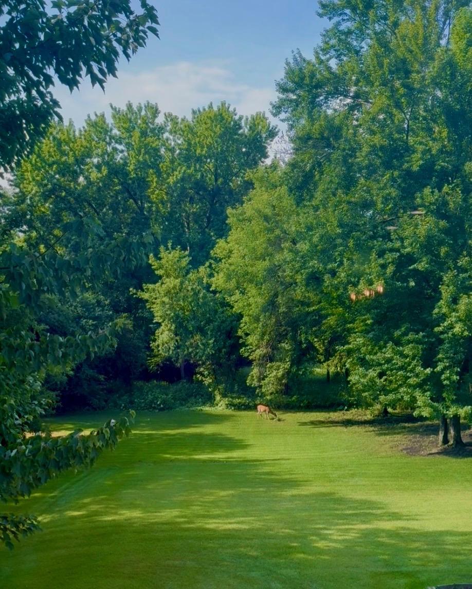 View of Residential at 2564 Bunker Lake Boulevard, Andover MN 55304, Andover (39 of 45) - Mike Wilen | Minnesota Team Real Estate