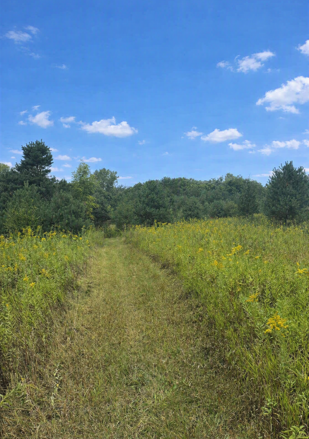 View of Land at xxxx Jeffrey Boulevard, Grant MN 55082, Grant (5 of 10) - Mike Wilen | Minnesota Team Real Estate