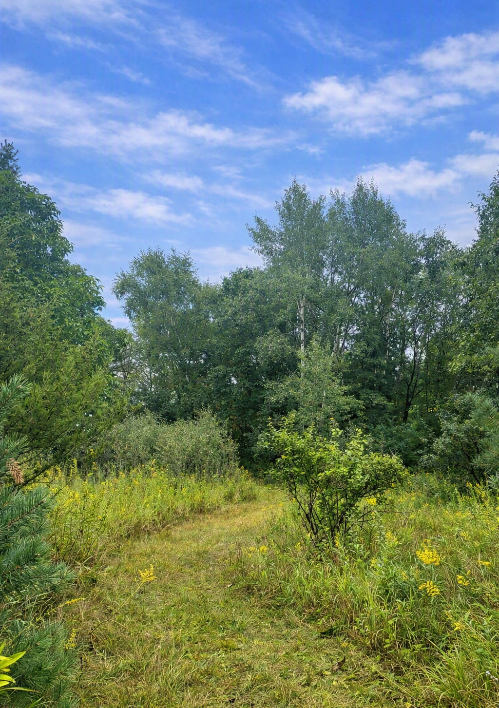 View of Land at xxxx Jeffrey Boulevard, Grant MN 55082, Grant (7 of 10) - Mike Wilen | Minnesota Team Real Estate