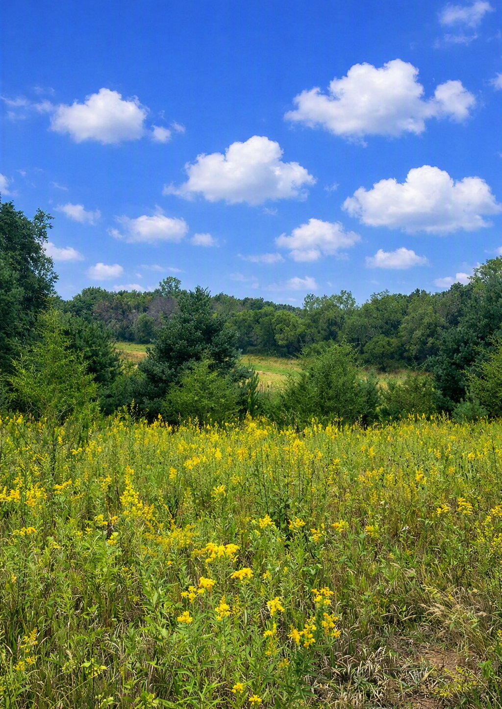 View of Land at xxxx Jeffrey Boulevard, Grant MN 55082, Grant (2 of 10) - Mike Wilen | Minnesota Team Real Estate