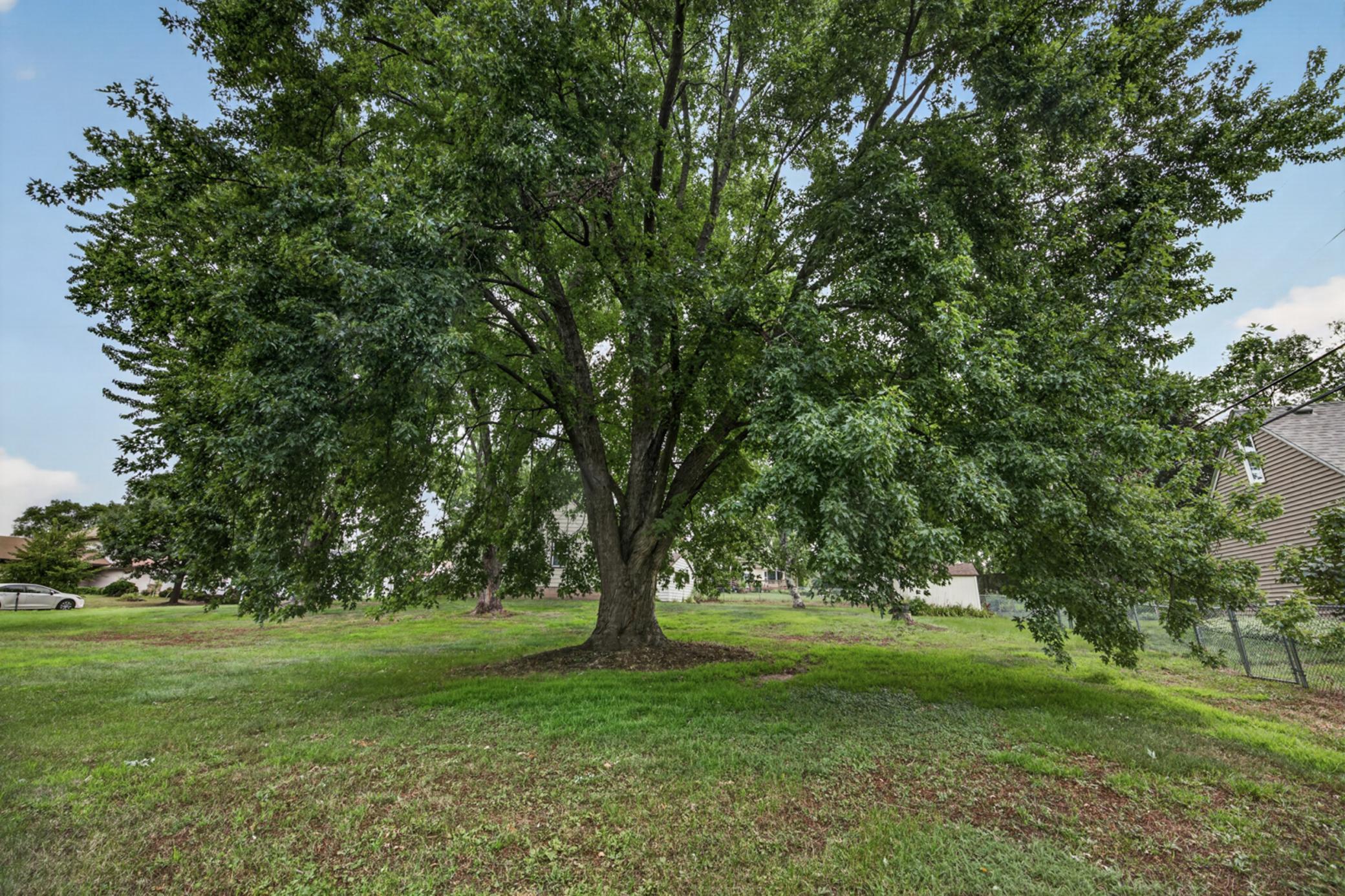 View of Residential at 1220 Frisbie Avenue, Maplewood MN 55109, Maplewood (39 of 51) - Mike Wilen | Minnesota Team Real Estate