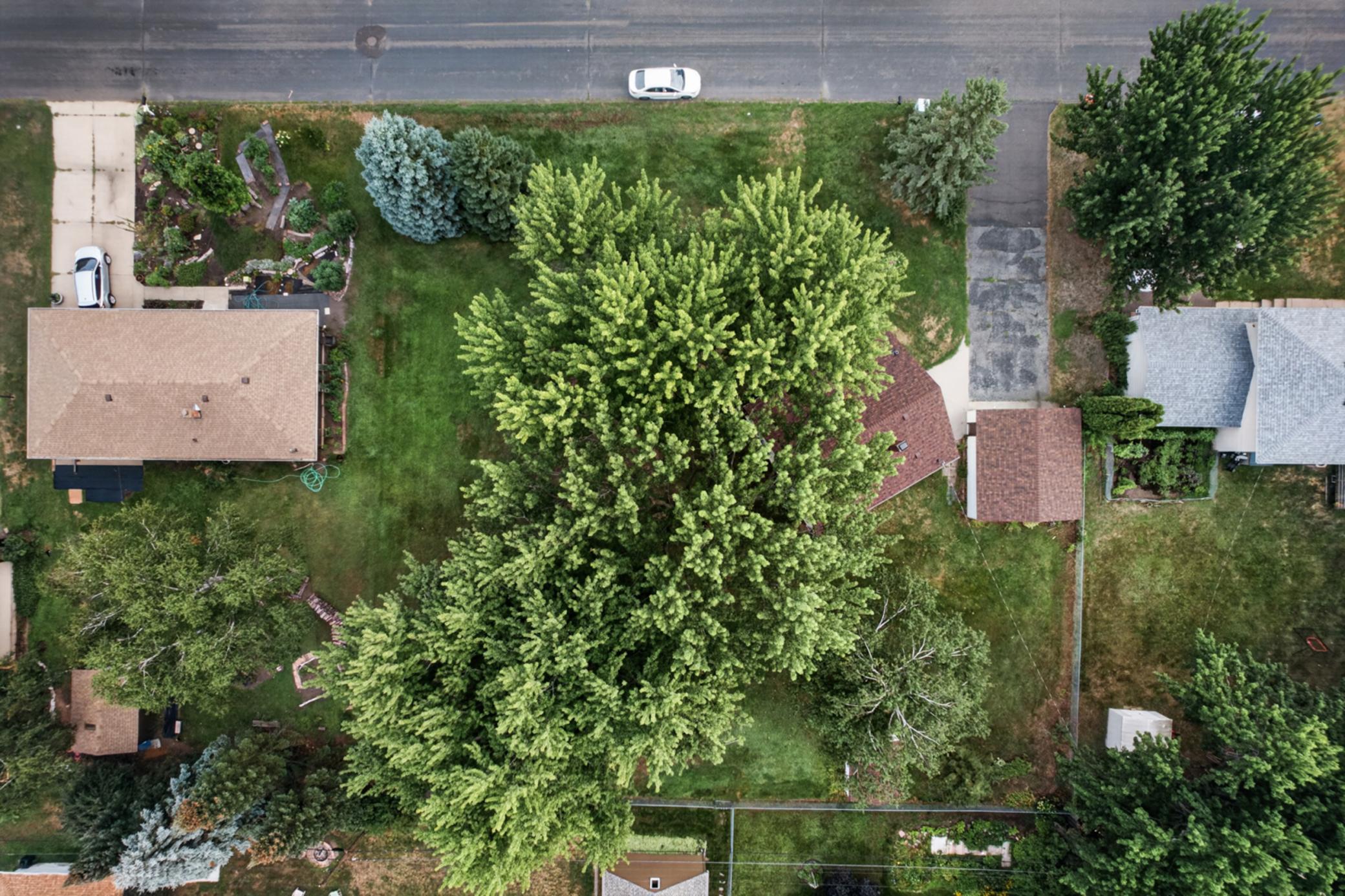 View of Residential at 1220 Frisbie Avenue, Maplewood MN 55109, Maplewood (29 of 51) - Mike Wilen | Minnesota Team Real Estate