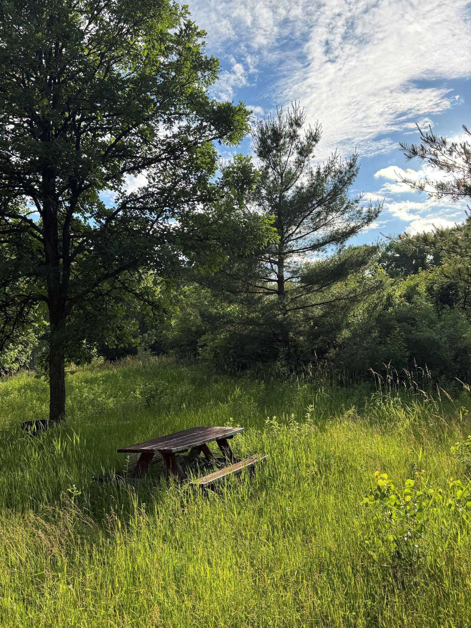 View of Land at 3xxx 100th Avenue, Onamia MN 56359, Onamia (7 of 11) - Mike Wilen | Minnesota Team Real Estate