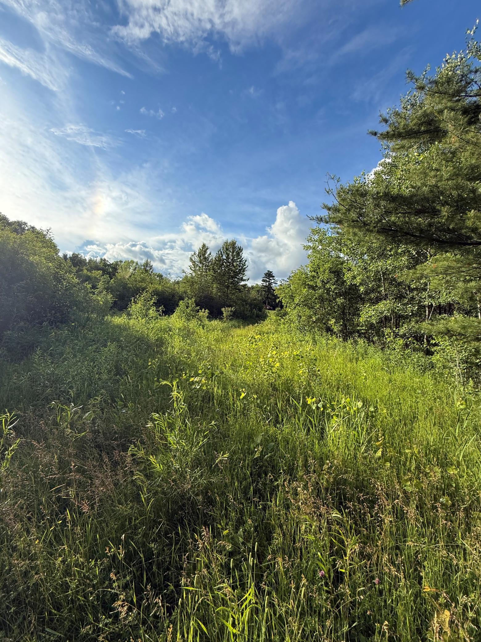 View of Land at 3xxx 100th Avenue, Onamia MN 56359, Onamia (8 of 11) - Mike Wilen | Minnesota Team Real Estate