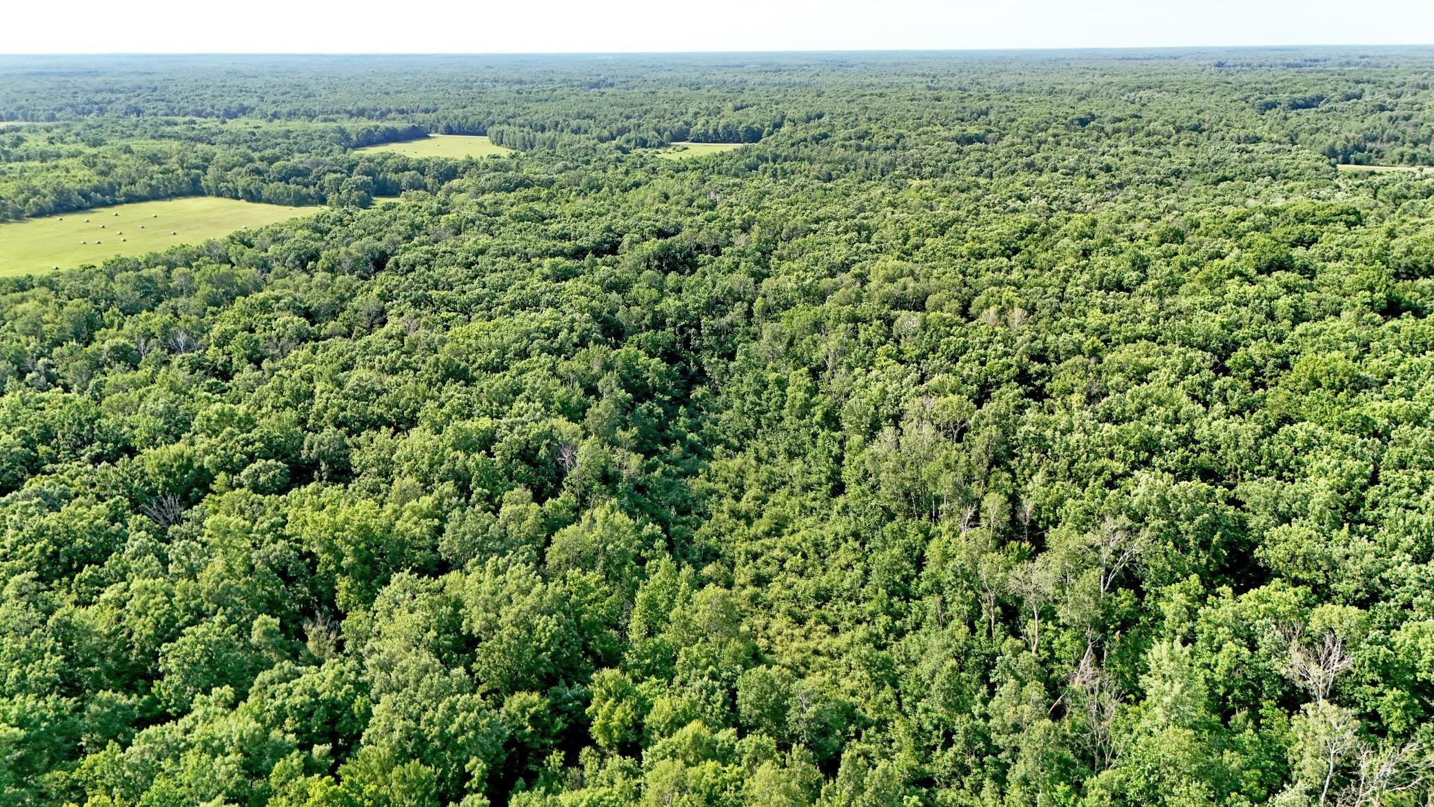 View of Land at UNASSIGNED 155th Avenue, Milaca MN 56353, Milaca (13 of 43) - Mike Wilen | Minnesota Team Real Estate