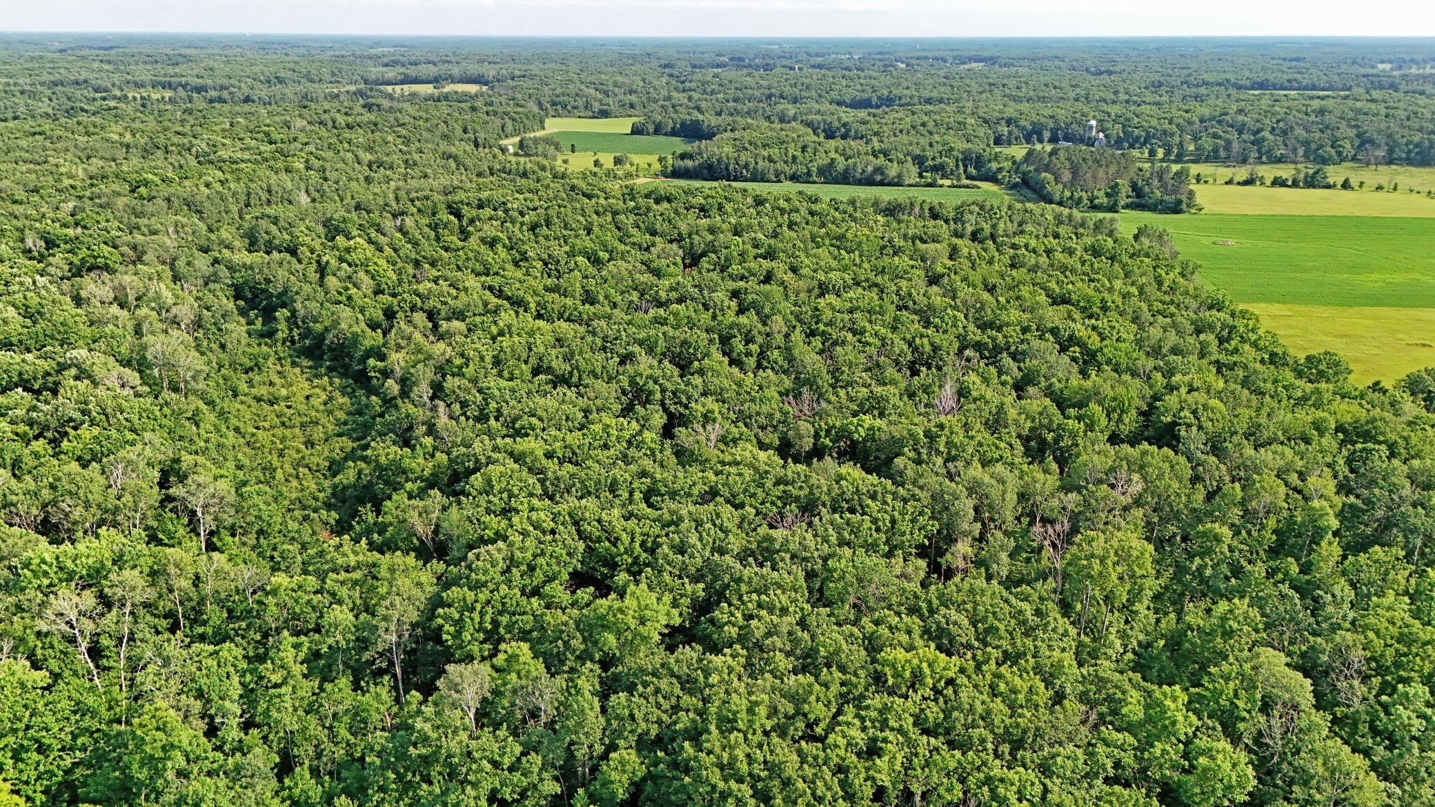 View of Land at UNASSIGNED 155th Avenue, Milaca MN 56353, Milaca (12 of 43) - Mike Wilen | Minnesota Team Real Estate