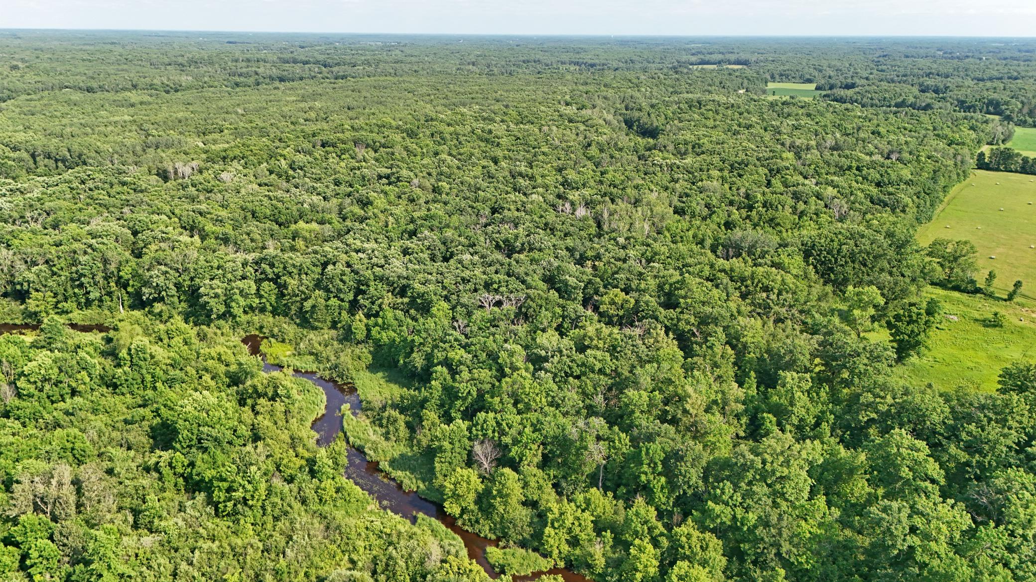 View of Land at UNASSIGNED 155th Avenue, Milaca MN 56353, Milaca (9 of 43) - Mike Wilen | Minnesota Team Real Estate