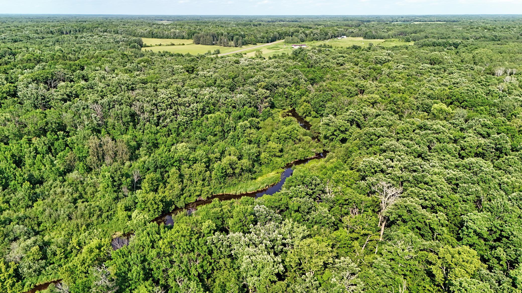 View of Land at UNASSIGNED 155th Avenue, Milaca MN 56353, Milaca (8 of 43) - Mike Wilen | Minnesota Team Real Estate