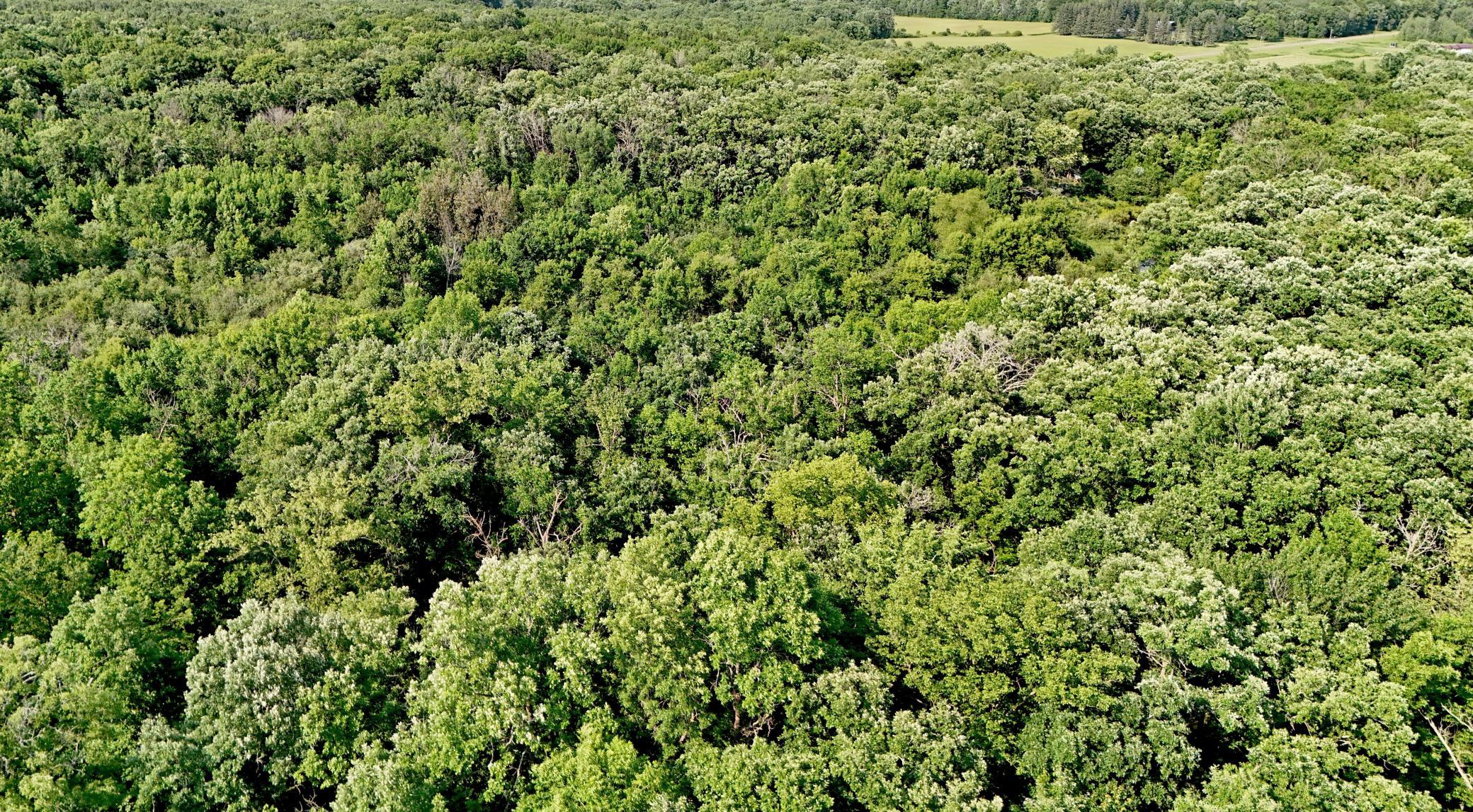 View of Land at UNASSIGNED 155th Avenue, Milaca MN 56353, Milaca (16 of 43) - Mike Wilen | Minnesota Team Real Estate