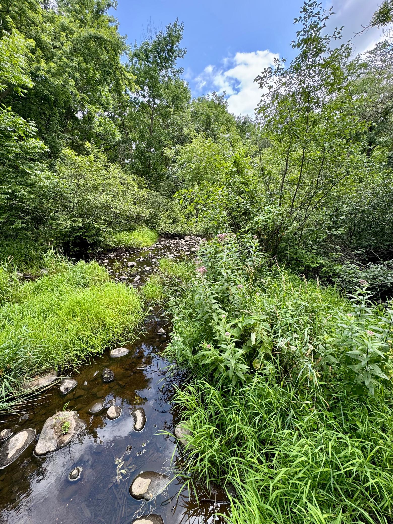 View of Land at UNASSIGNED 155th Avenue, Milaca MN 56353, Milaca (33 of 43) - Mike Wilen | Minnesota Team Real Estate