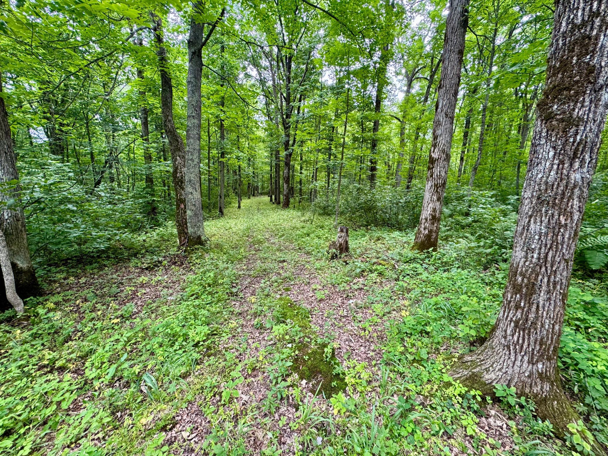 View of Land at UNASSIGNED 155th Avenue, Milaca MN 56353, Milaca (28 of 43) - Mike Wilen | Minnesota Team Real Estate