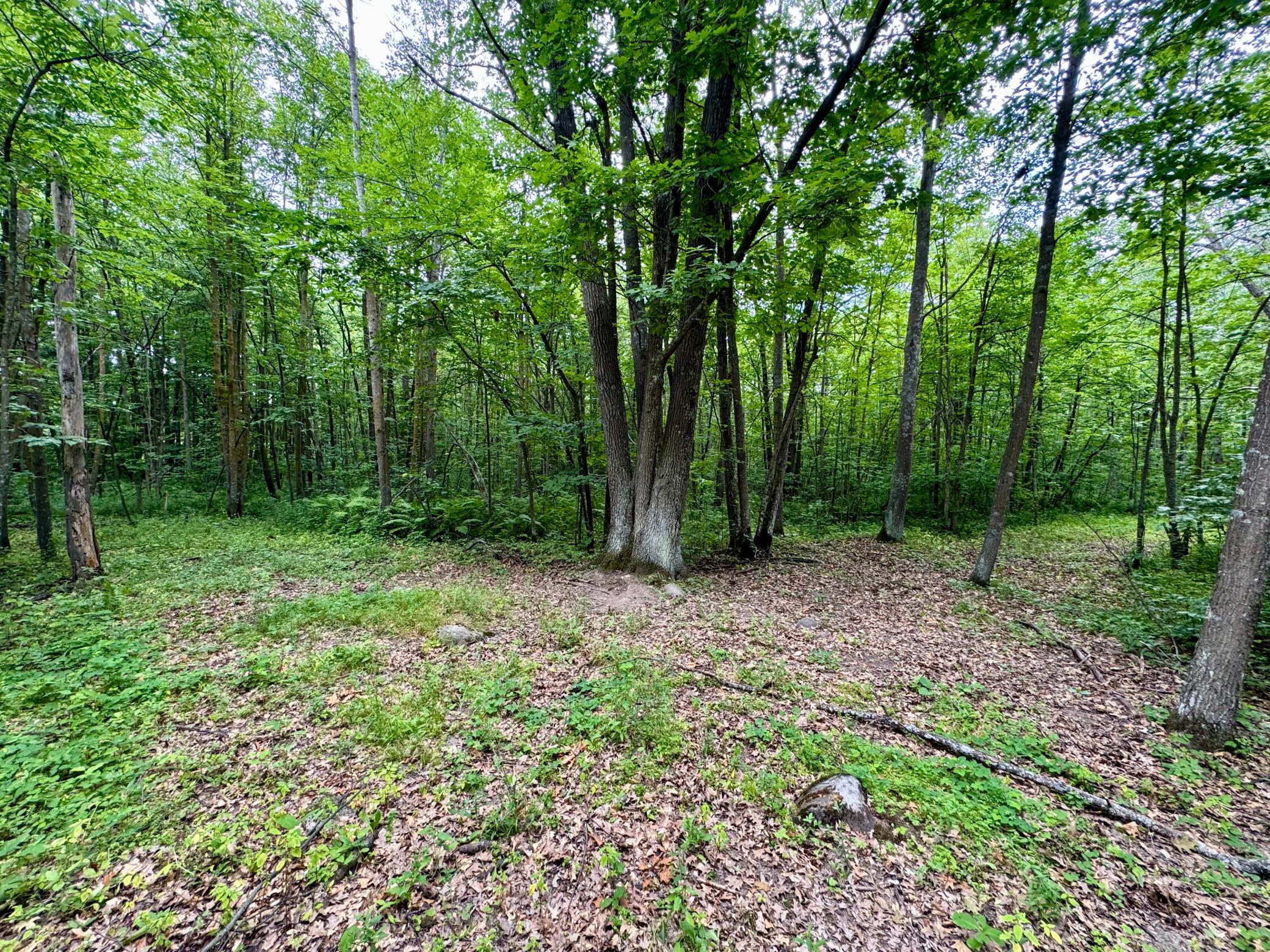 View of Land at UNASSIGNED 155th Avenue, Milaca MN 56353, Milaca (23 of 43) - Mike Wilen | Minnesota Team Real Estate