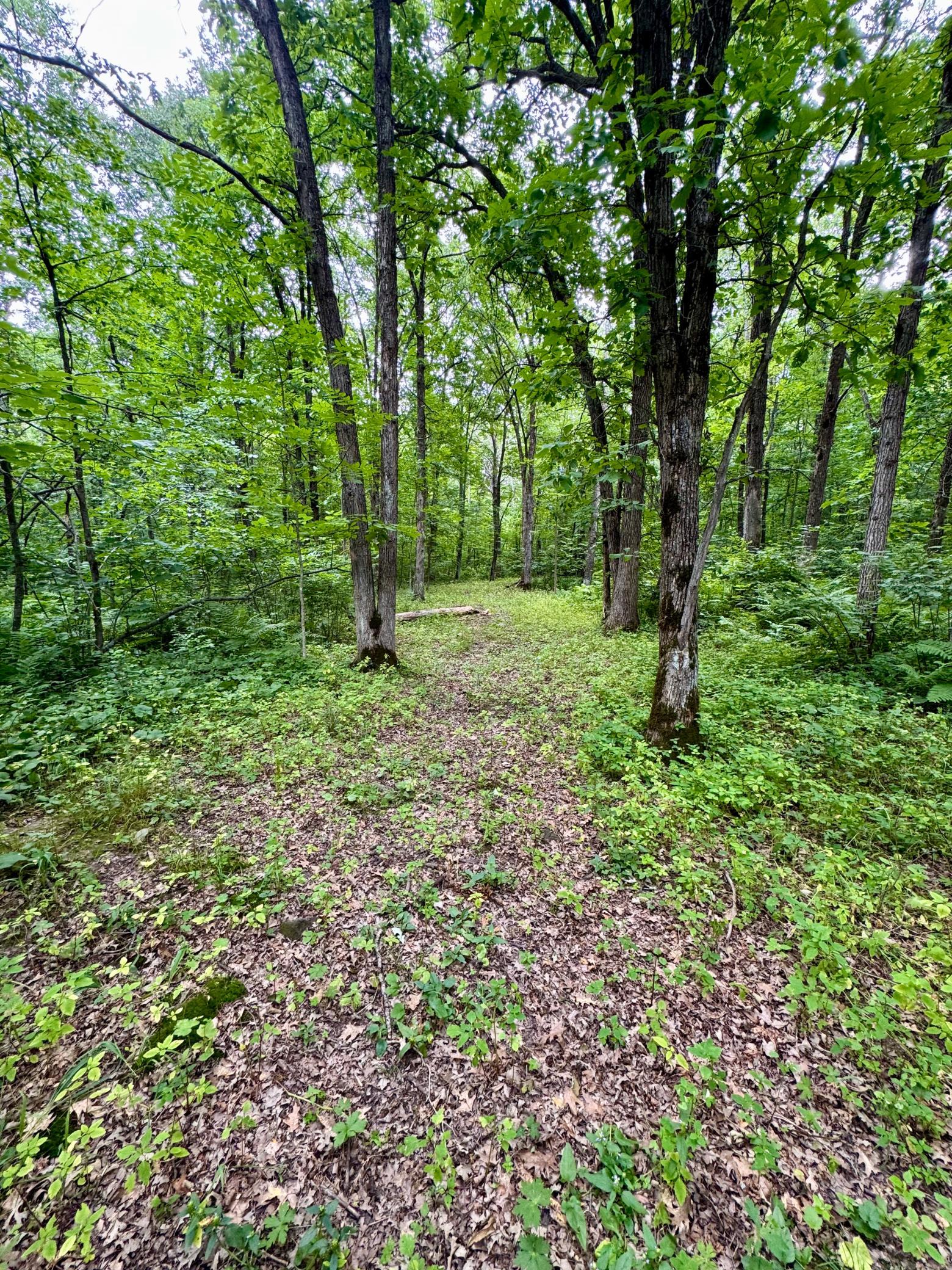 View of Land at UNASSIGNED 155th Avenue, Milaca MN 56353, Milaca (25 of 43) - Mike Wilen | Minnesota Team Real Estate