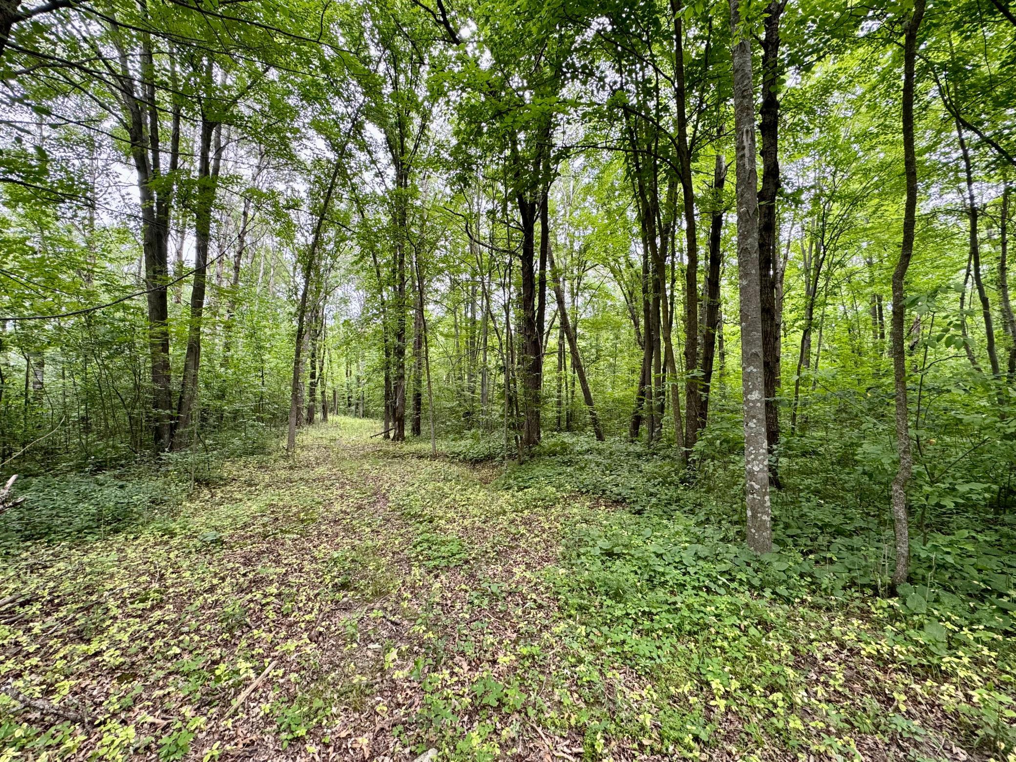 View of Land at UNASSIGNED 155th Avenue, Milaca MN 56353, Milaca (22 of 43) - Mike Wilen | Minnesota Team Real Estate