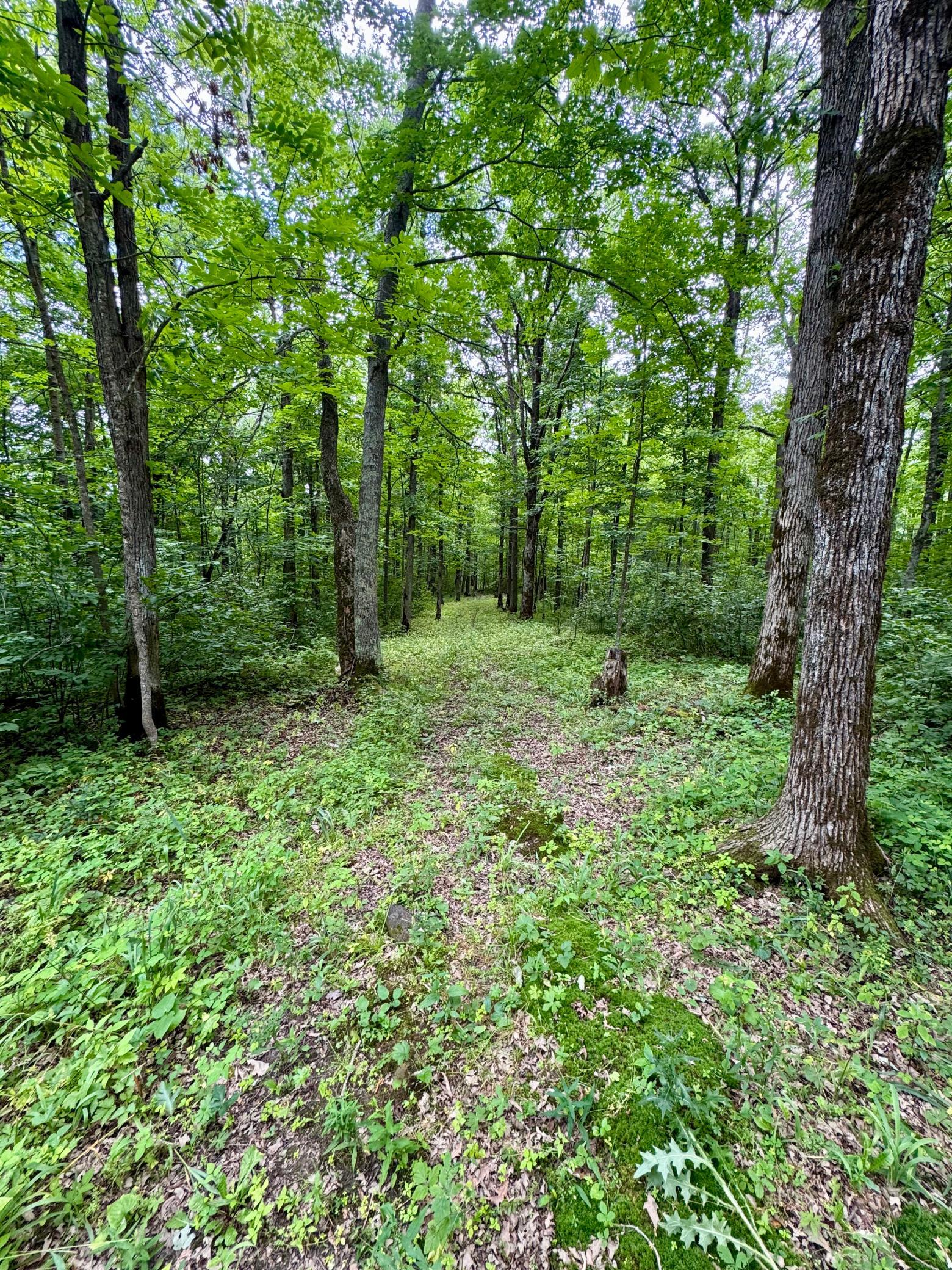 View of Land at UNASSIGNED 155th Avenue, Milaca MN 56353, Milaca (24 of 43) - Mike Wilen | Minnesota Team Real Estate