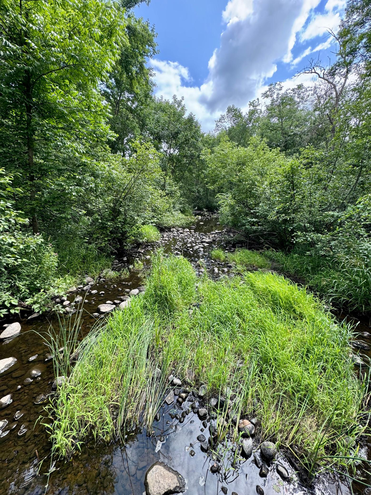 View of Land at UNASSIGNED 155th Avenue, Milaca MN 56353, Milaca (29 of 43) - Mike Wilen | Minnesota Team Real Estate