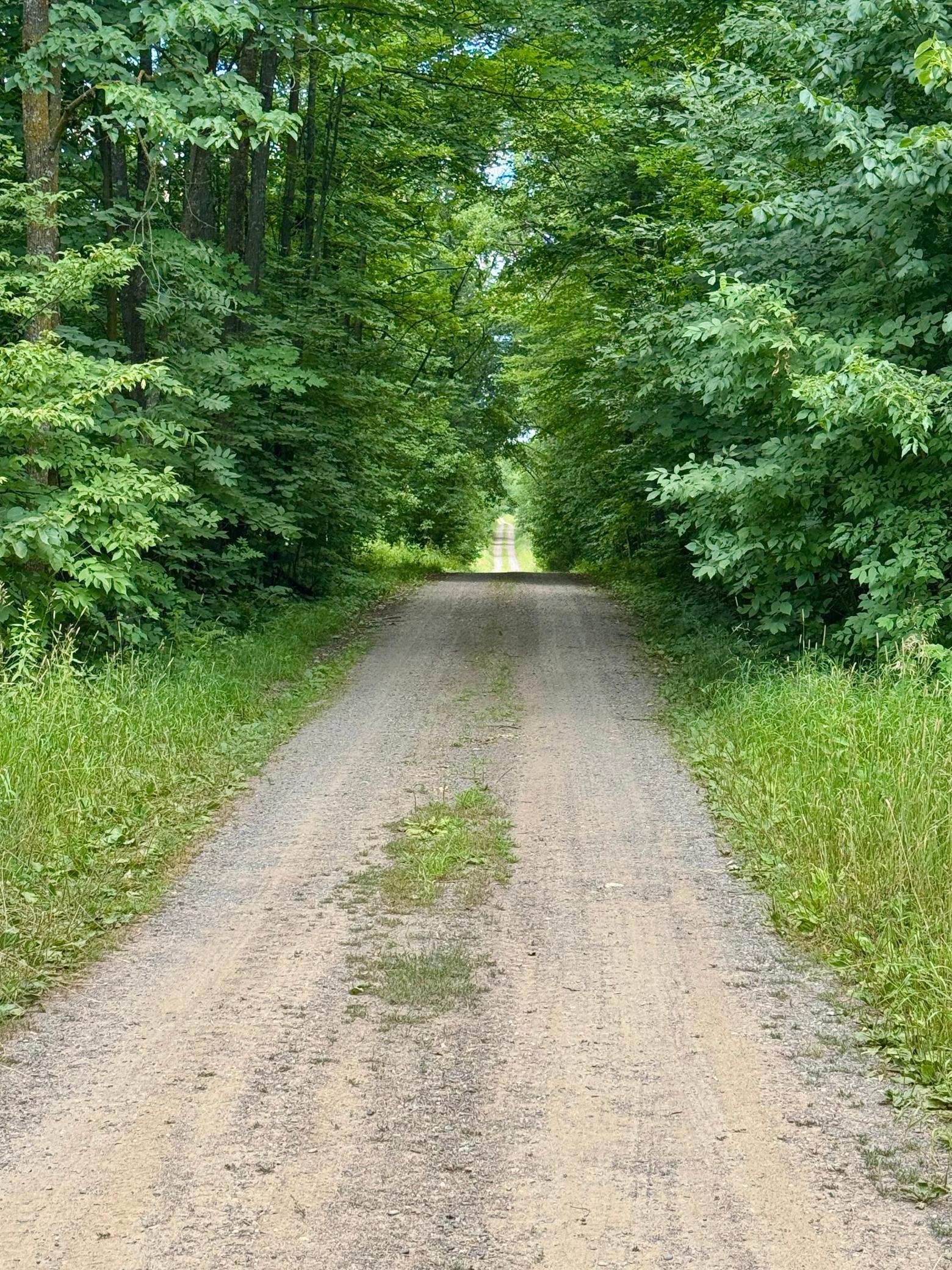 View of Land at UNASSIGNED 155th Avenue, Milaca MN 56353, Milaca (18 of 43) - Mike Wilen | Minnesota Team Real Estate