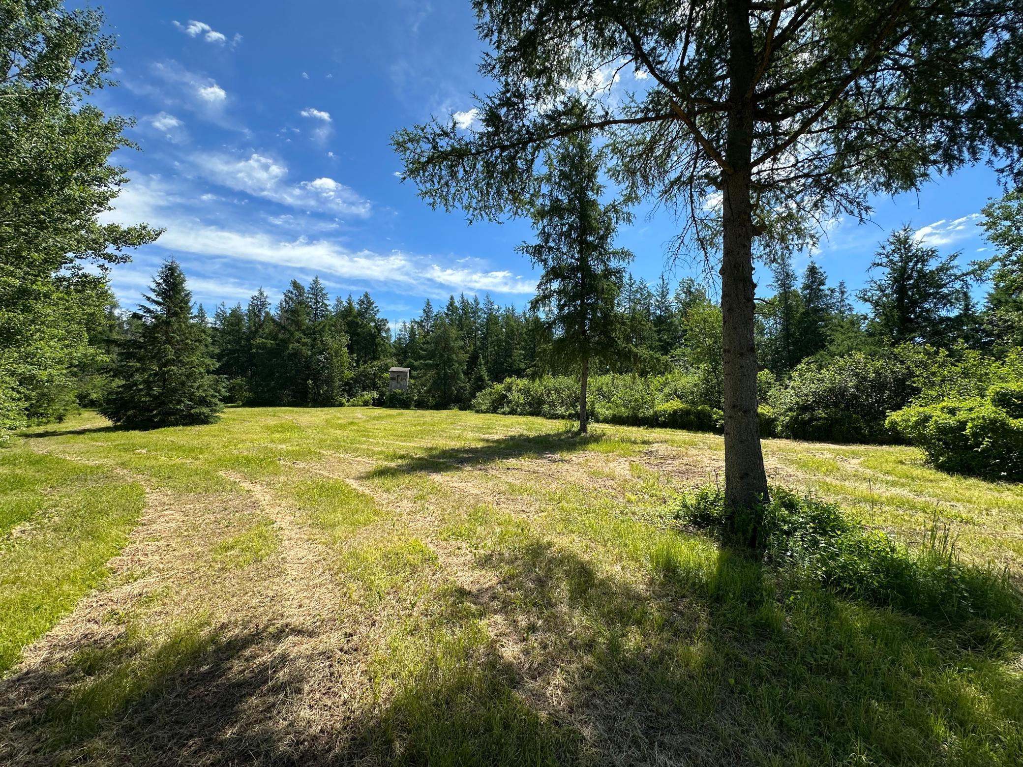 View of Land at 89225 Little Oak Lake Road, Kerrick MN 55756, Kerrick (24 of 33) - Mike Wilen | Minnesota Team Real Estate