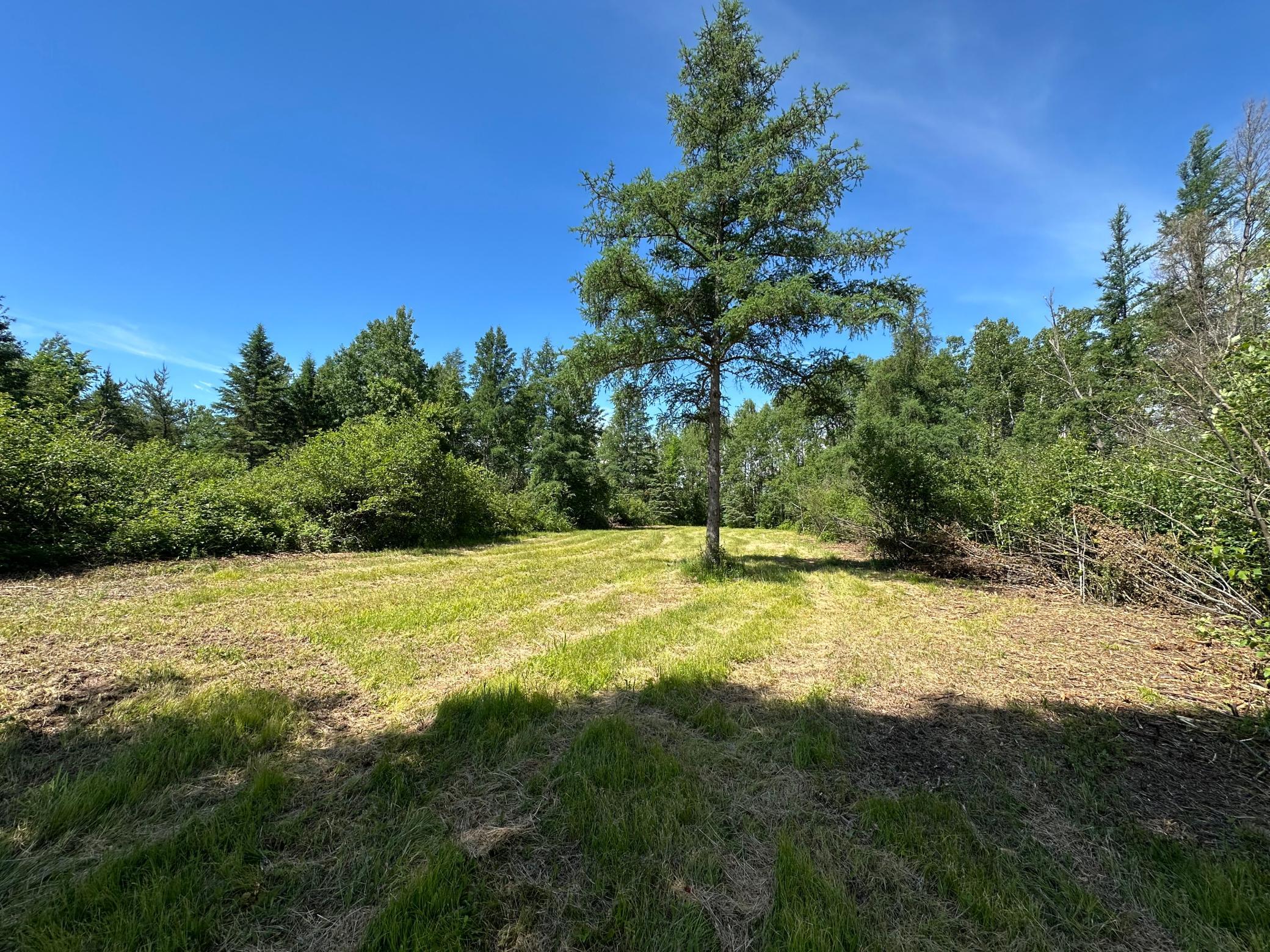 View of Land at 89225 Little Oak Lake Road, Kerrick MN 55756, Kerrick (23 of 33) - Mike Wilen | Minnesota Team Real Estate