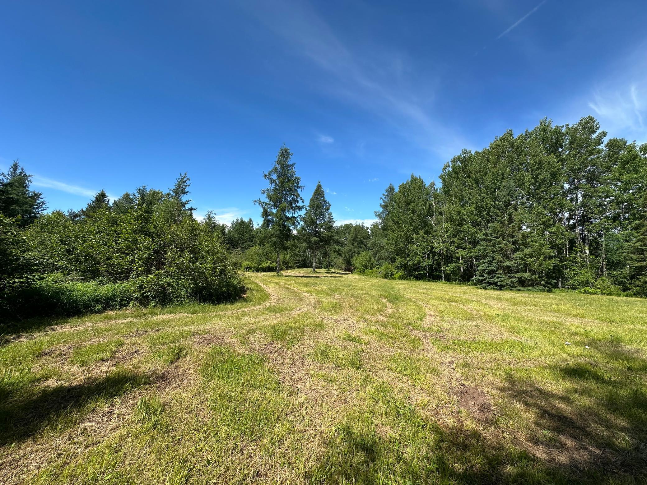View of Land at 89225 Little Oak Lake Road, Kerrick MN 55756, Kerrick (22 of 33) - Mike Wilen | Minnesota Team Real Estate