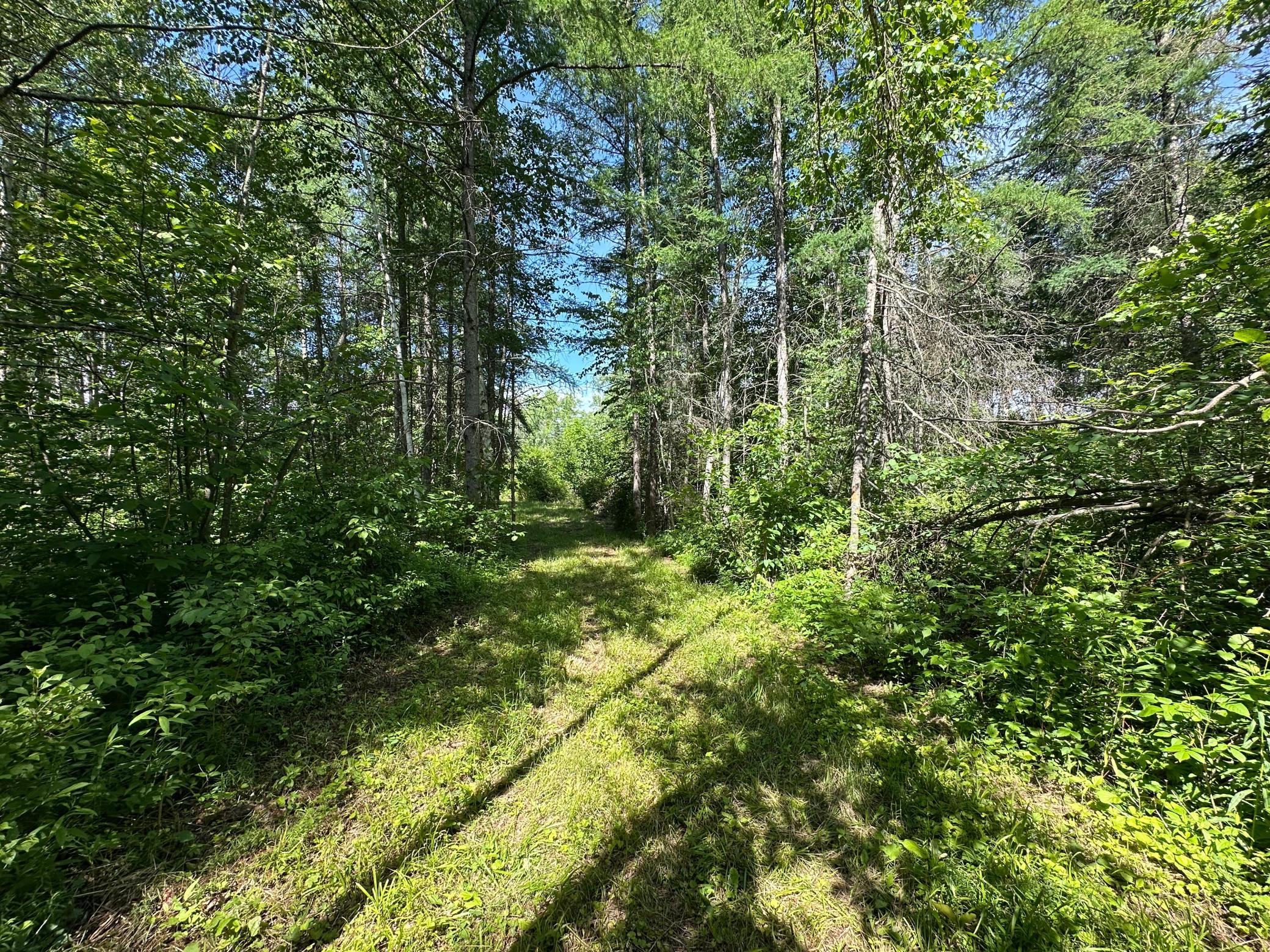View of Land at 89225 Little Oak Lake Road, Kerrick MN 55756, Kerrick (19 of 33) - Mike Wilen | Minnesota Team Real Estate