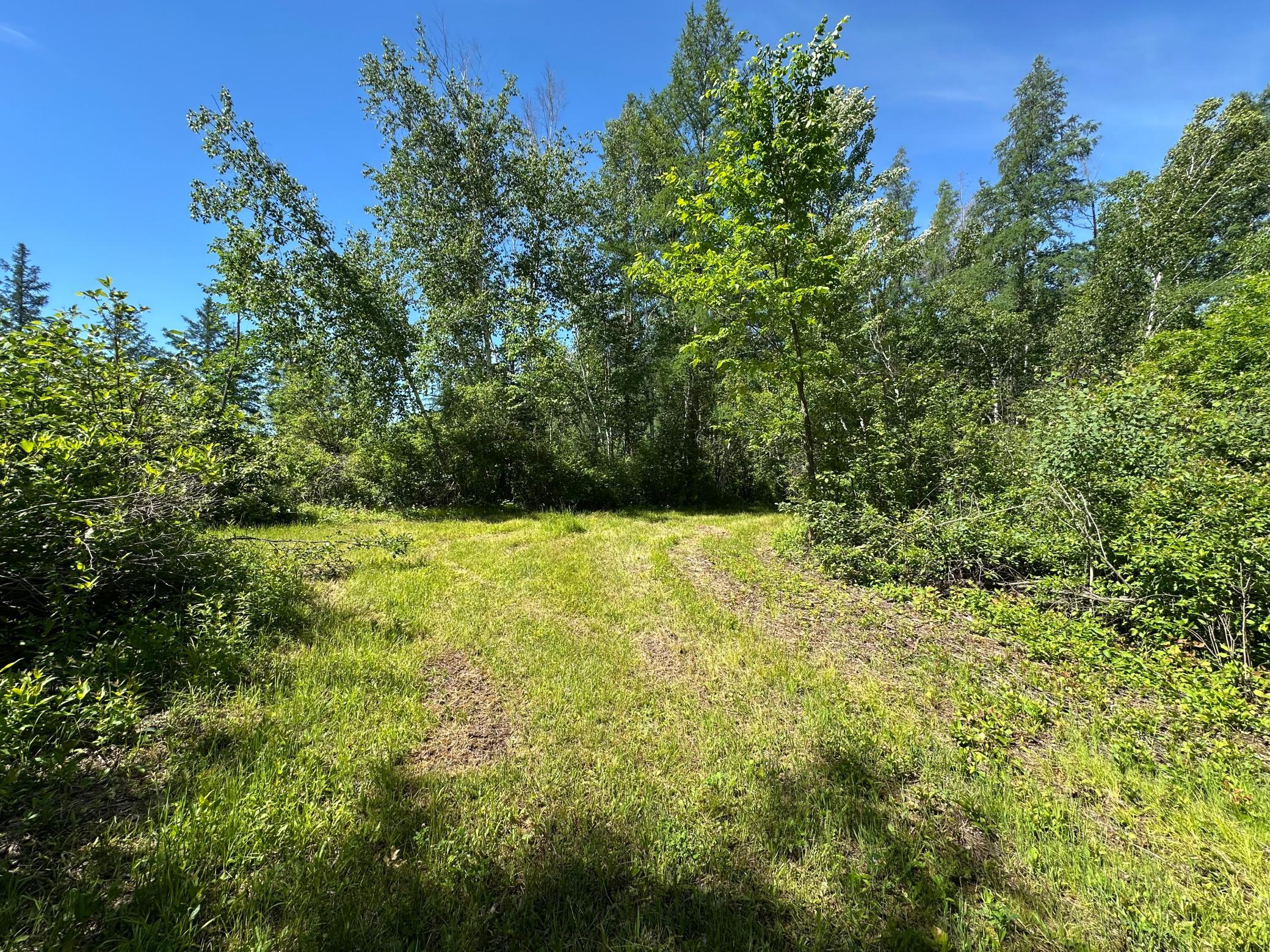 View of Land at 89225 Little Oak Lake Road, Kerrick MN 55756, Kerrick (18 of 33) - Mike Wilen | Minnesota Team Real Estate