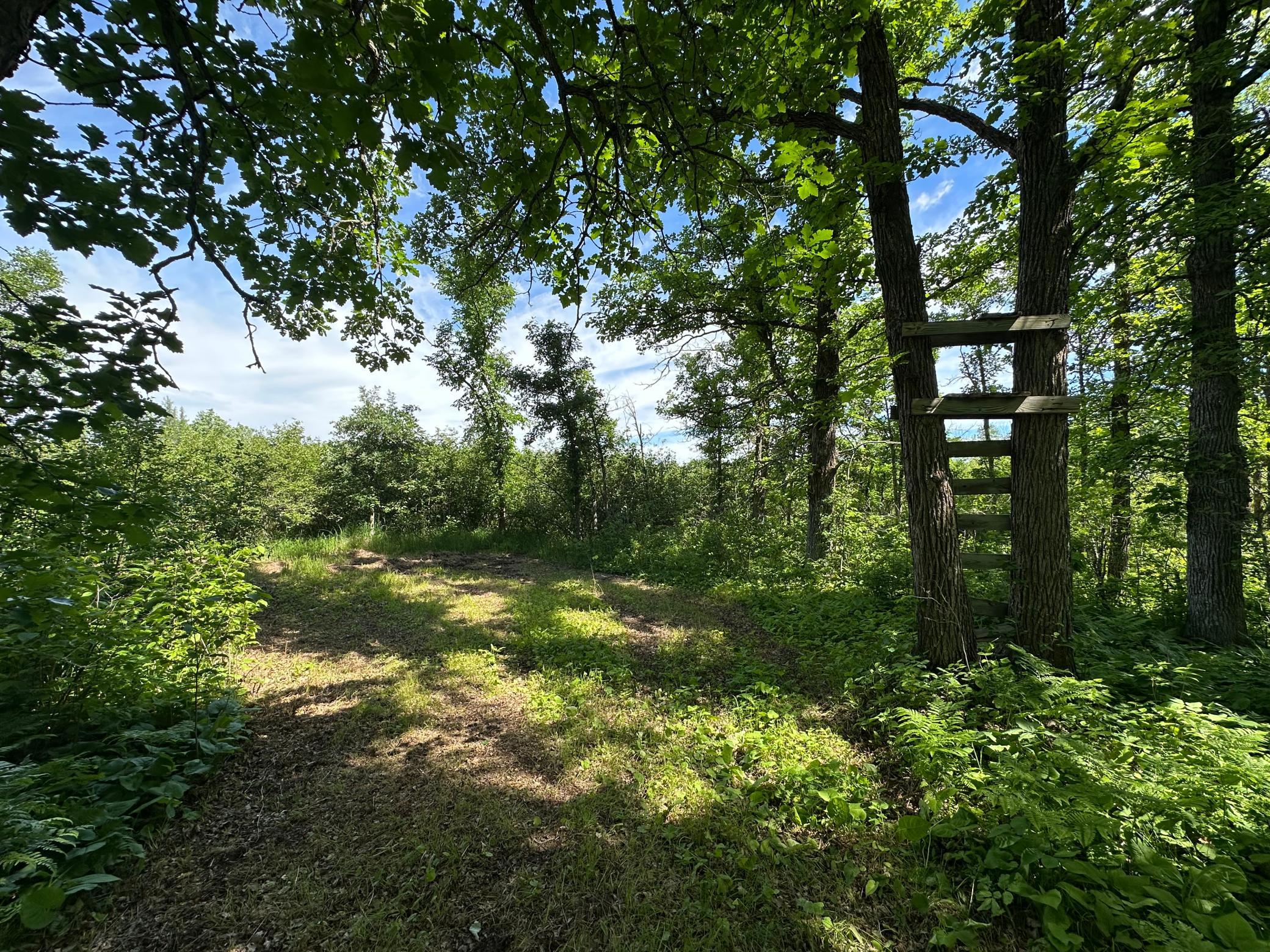 View of Land at 89225 Little Oak Lake Road, Kerrick MN 55756, Kerrick (17 of 33) - Mike Wilen | Minnesota Team Real Estate