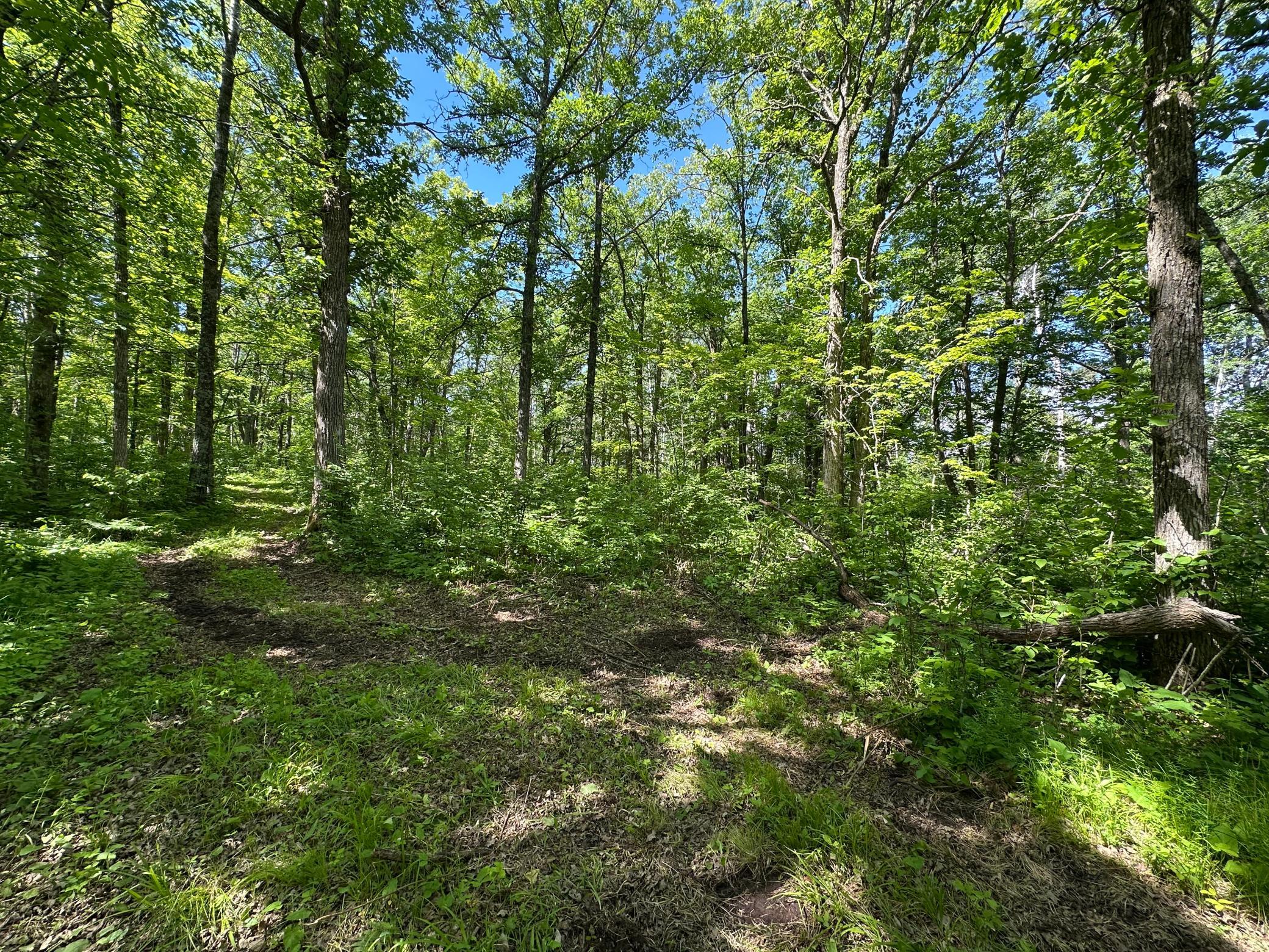 View of Land at 89225 Little Oak Lake Road, Kerrick MN 55756, Kerrick (16 of 33) - Mike Wilen | Minnesota Team Real Estate
