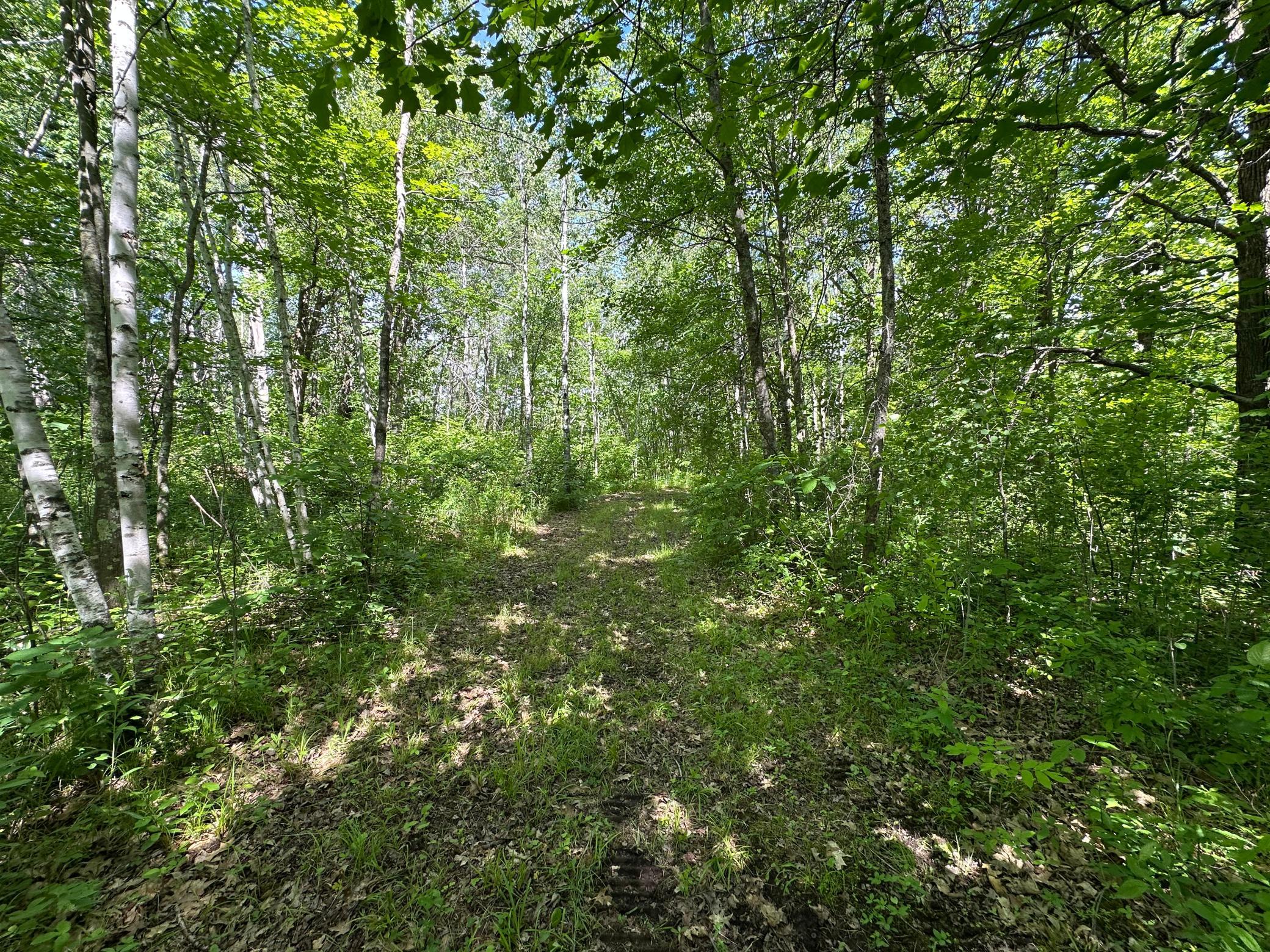 View of Land at 89225 Little Oak Lake Road, Kerrick MN 55756, Kerrick (15 of 33) - Mike Wilen | Minnesota Team Real Estate