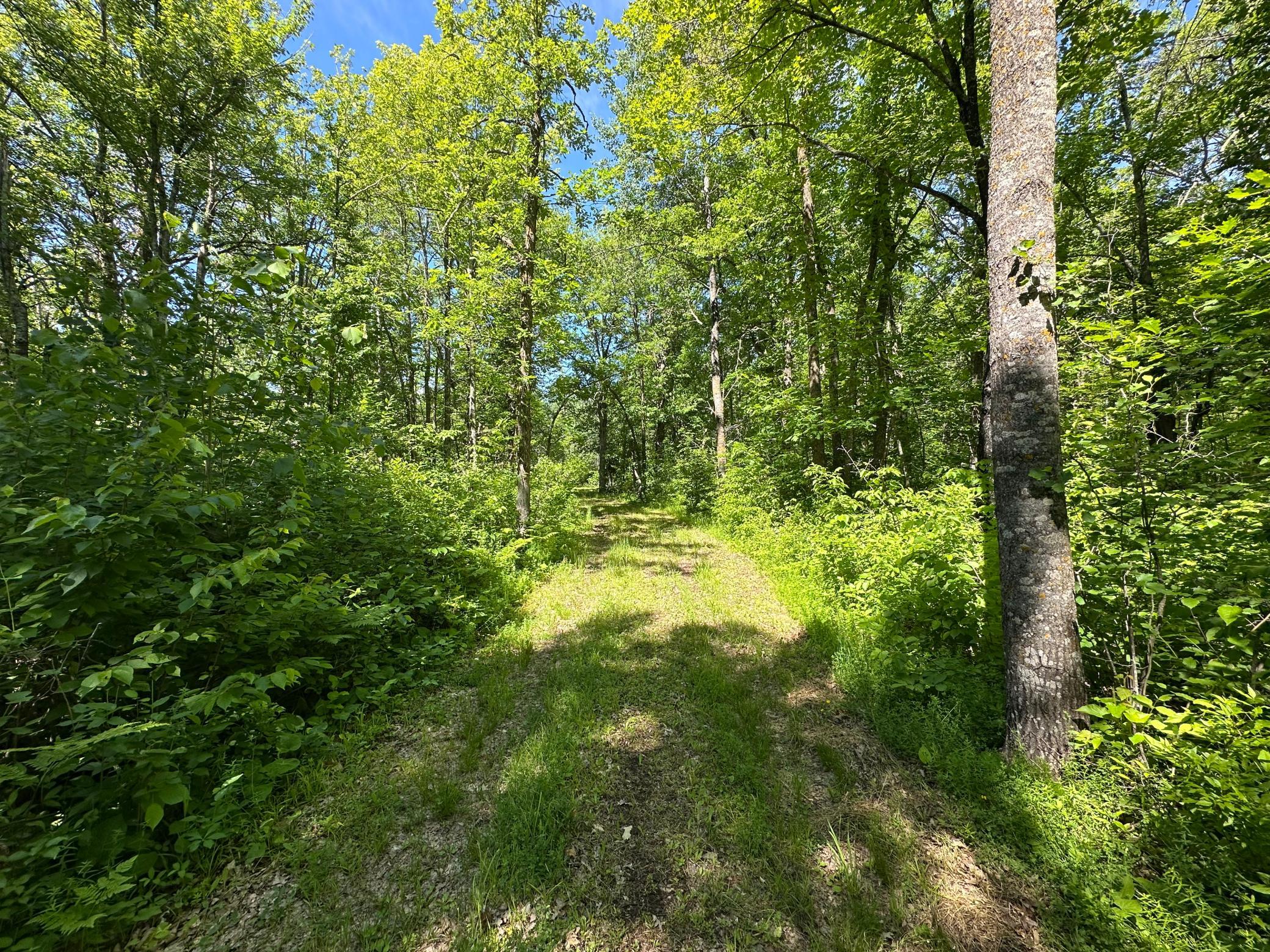 View of Land at 89225 Little Oak Lake Road, Kerrick MN 55756, Kerrick (4 of 33) - Mike Wilen | Minnesota Team Real Estate