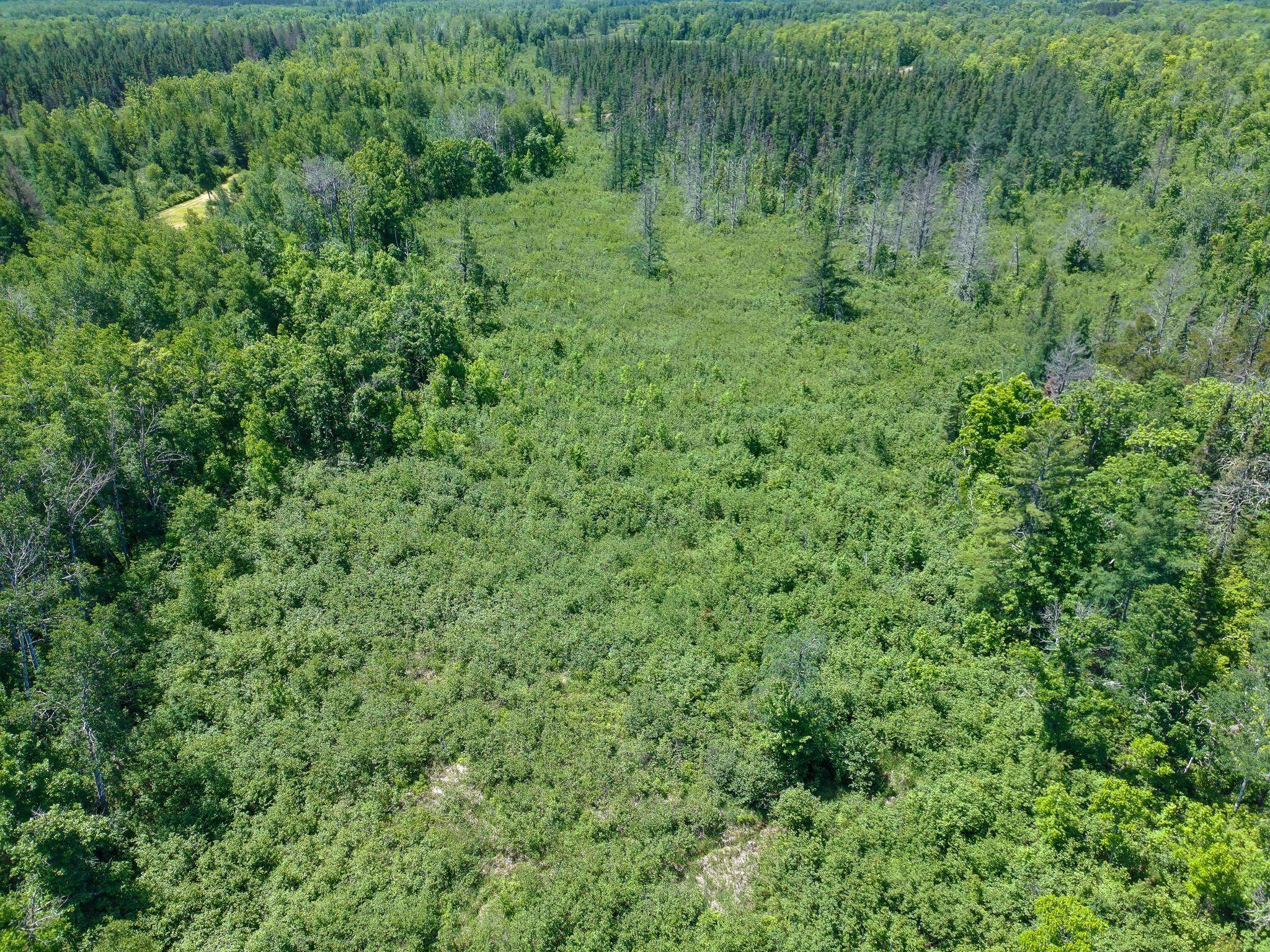 View of Land at 89225 Little Oak Lake Road, Kerrick MN 55756, Kerrick (29 of 33) - Mike Wilen | Minnesota Team Real Estate