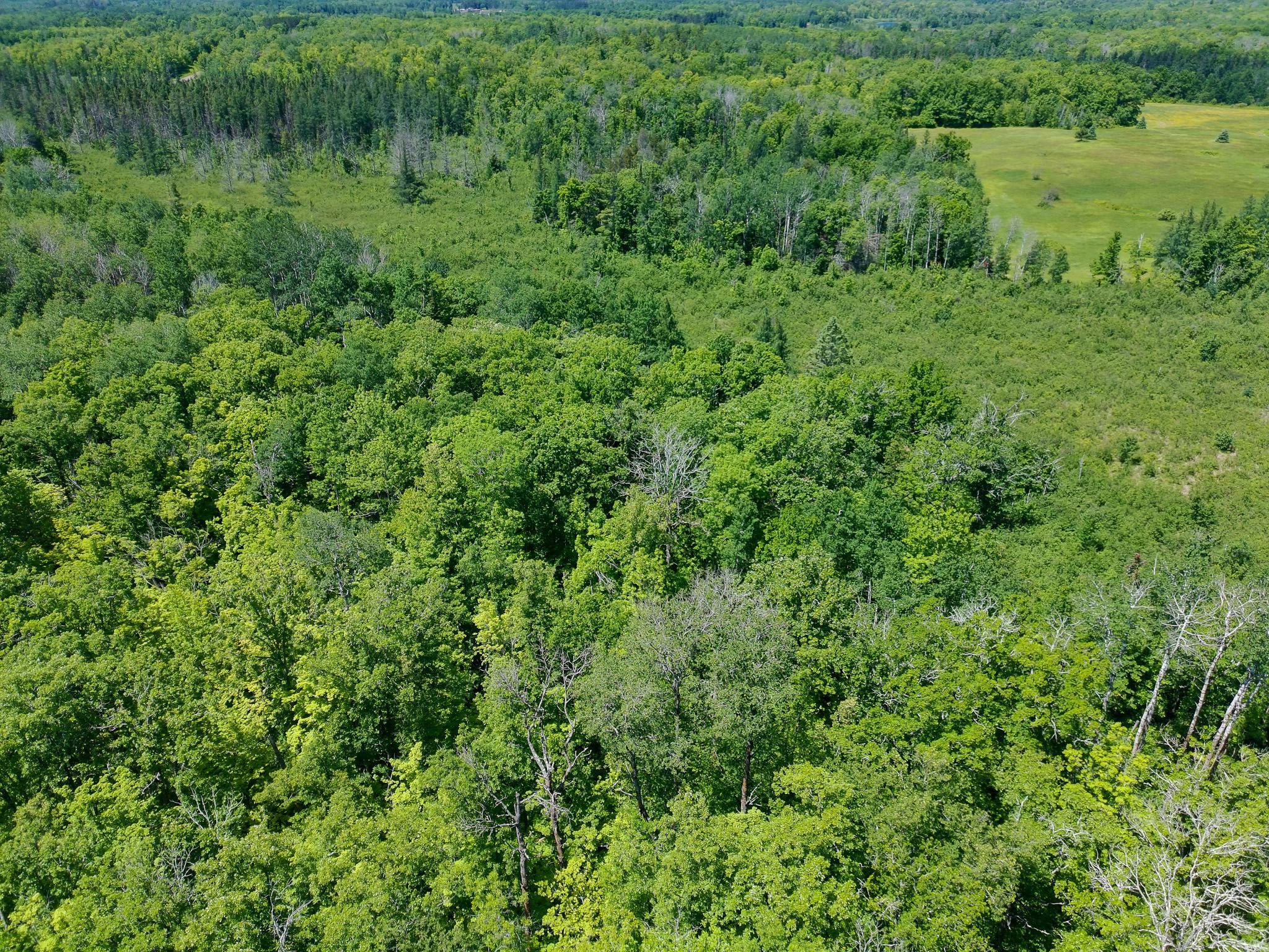 View of Land at 89225 Little Oak Lake Road, Kerrick MN 55756, Kerrick (28 of 33) - Mike Wilen | Minnesota Team Real Estate