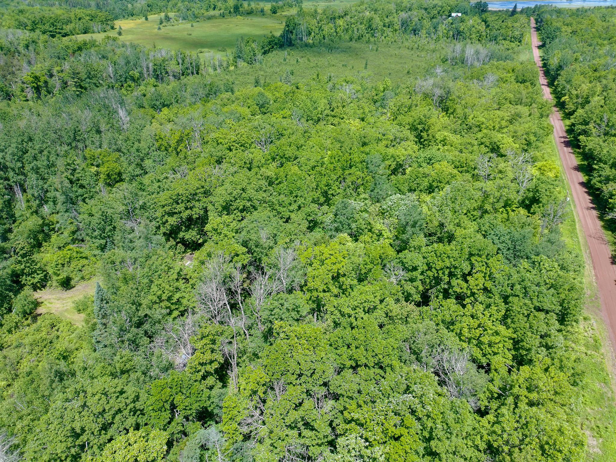 View of Land at 89225 Little Oak Lake Road, Kerrick MN 55756, Kerrick (27 of 33) - Mike Wilen | Minnesota Team Real Estate