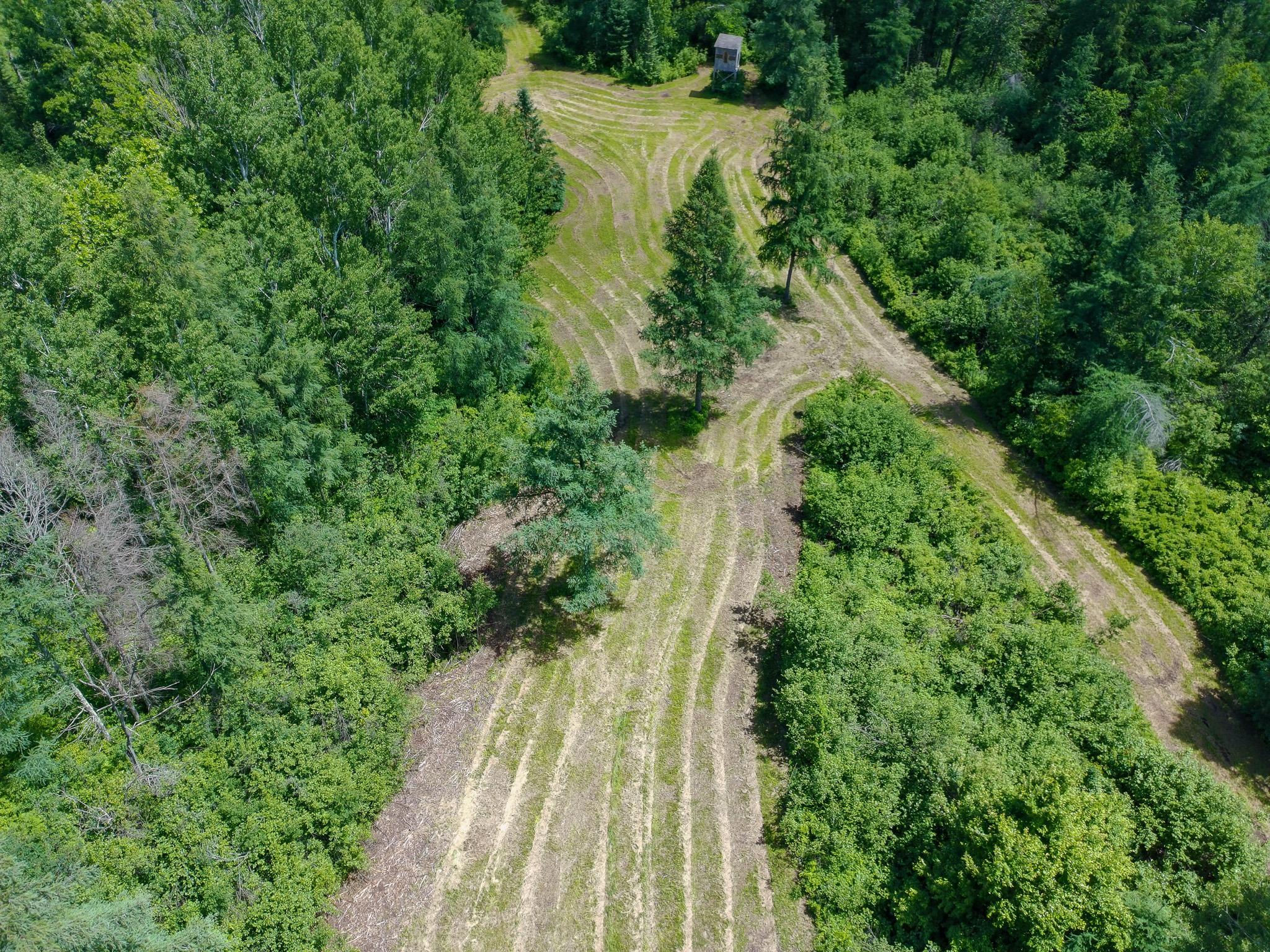 View of Land at 89225 Little Oak Lake Road, Kerrick MN 55756, Kerrick (25 of 33) - Mike Wilen | Minnesota Team Real Estate