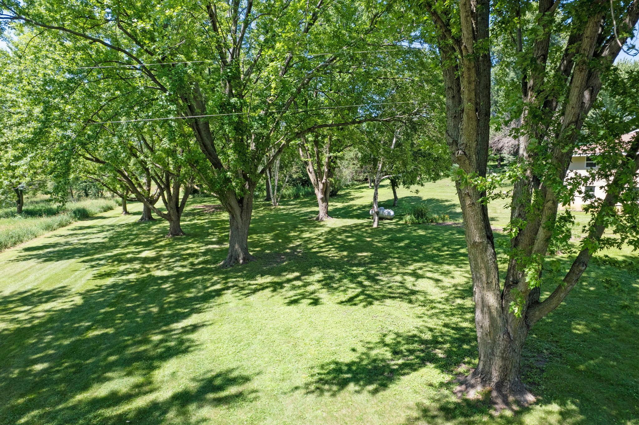 View of Residential at 11040 N Shore Road, Waconia MN 55387, Waconia (43 of 52) - Mike Wilen | Minnesota Team Real Estate
