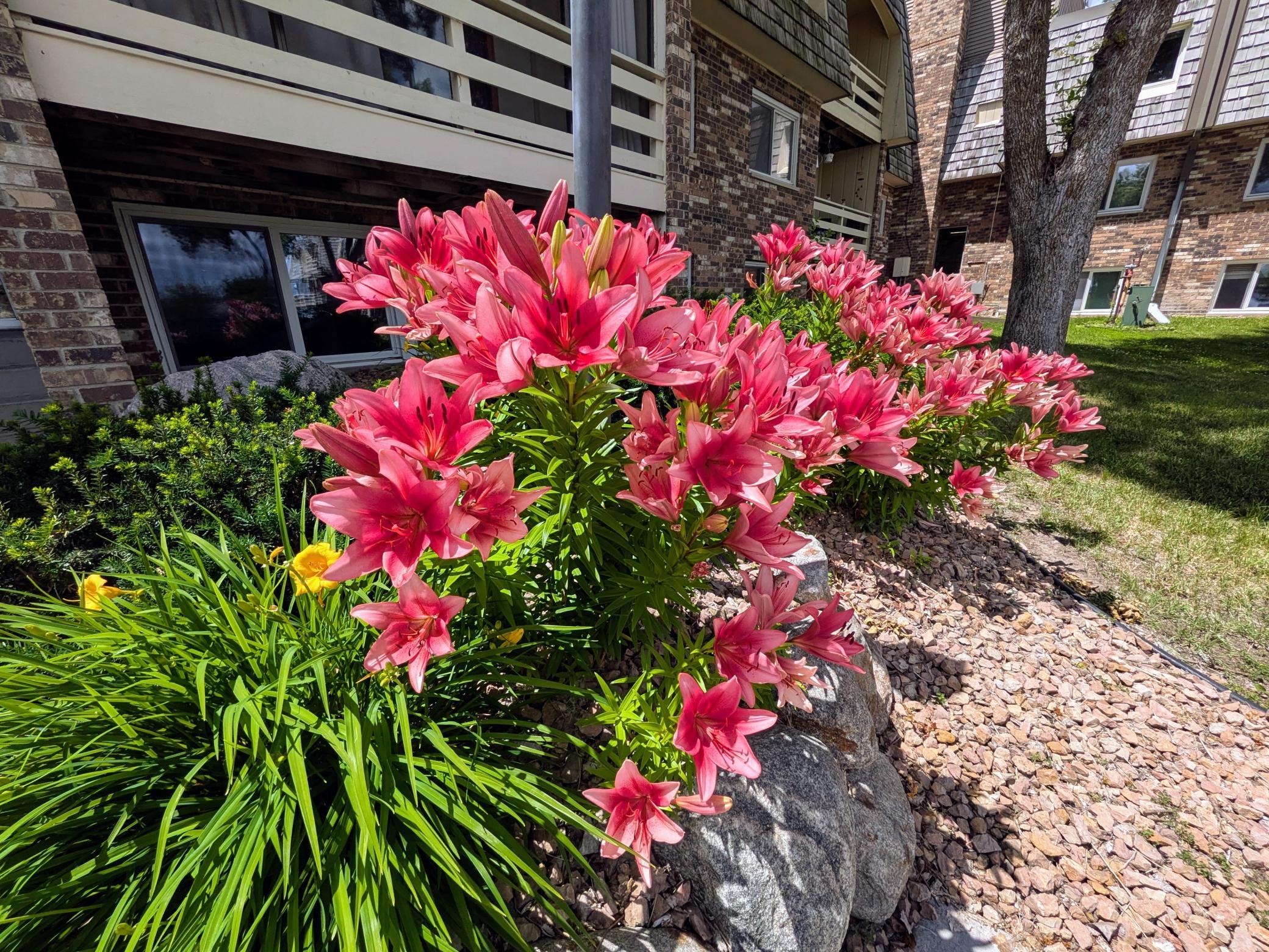 View of Residential at 4387 Wilshire Boulevard #106, Mound MN 55364, Mound (51 of 53) - Mike Wilen | Minnesota Team Real Estate