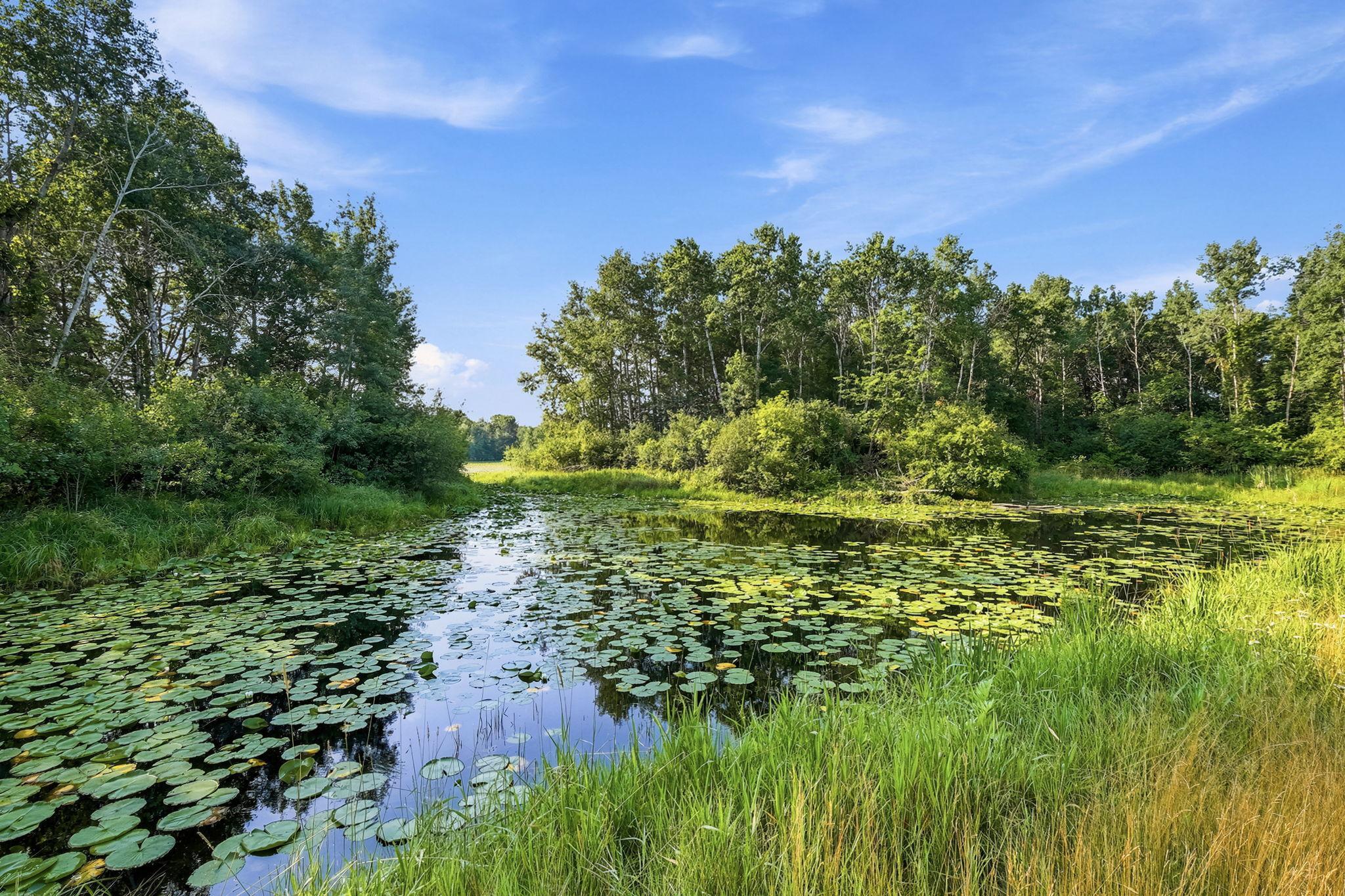 View of Residential at 13143 293rd Avenue, Princeton MN 55371, Princeton (34 of 40) - Mike Wilen | Minnesota Team Real Estate