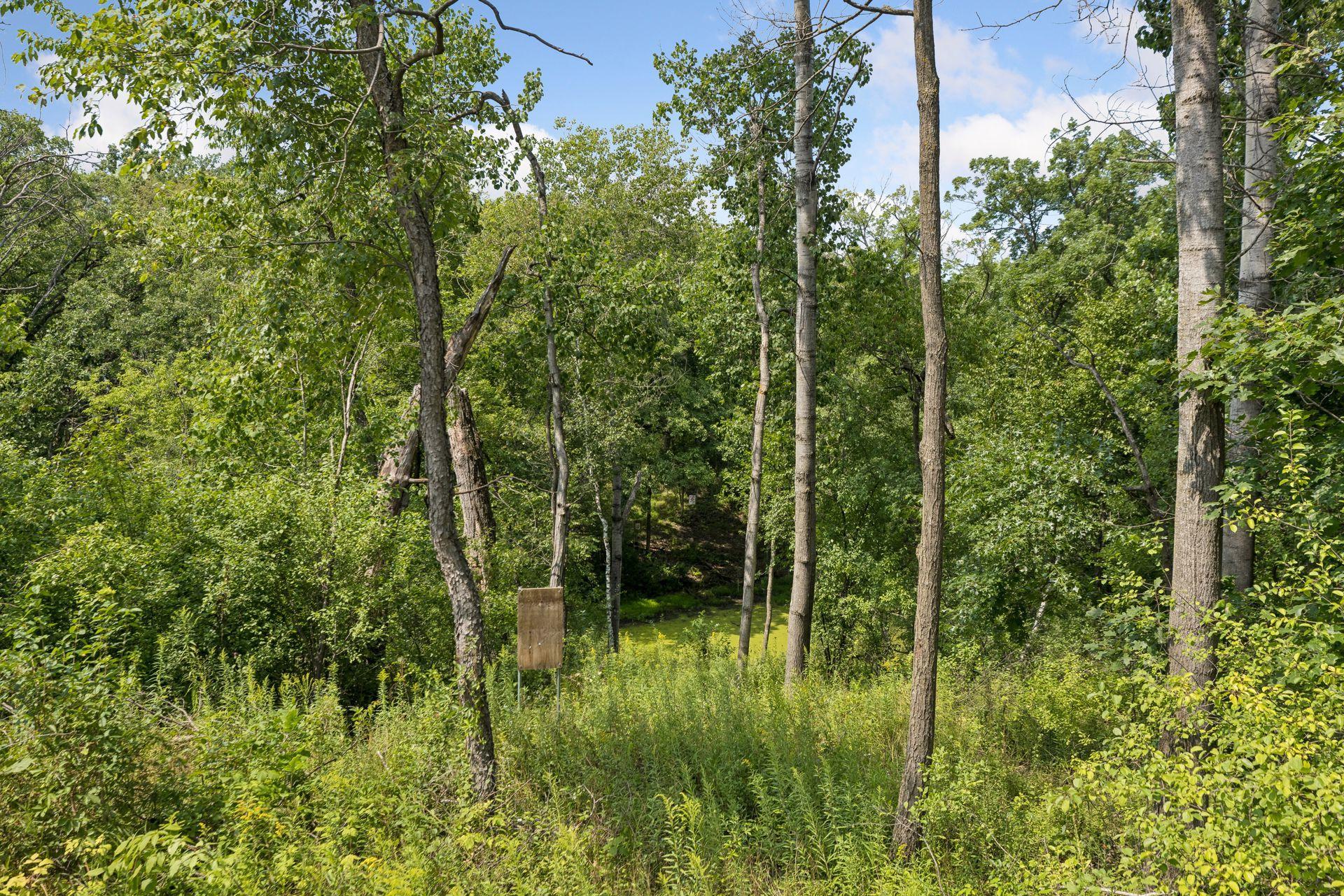 View of Residential at 12870 Saint Croix Trail, Stillwater MN 55082, Stillwater (187 of 206) - Mike Wilen | Minnesota Team Real Estate
