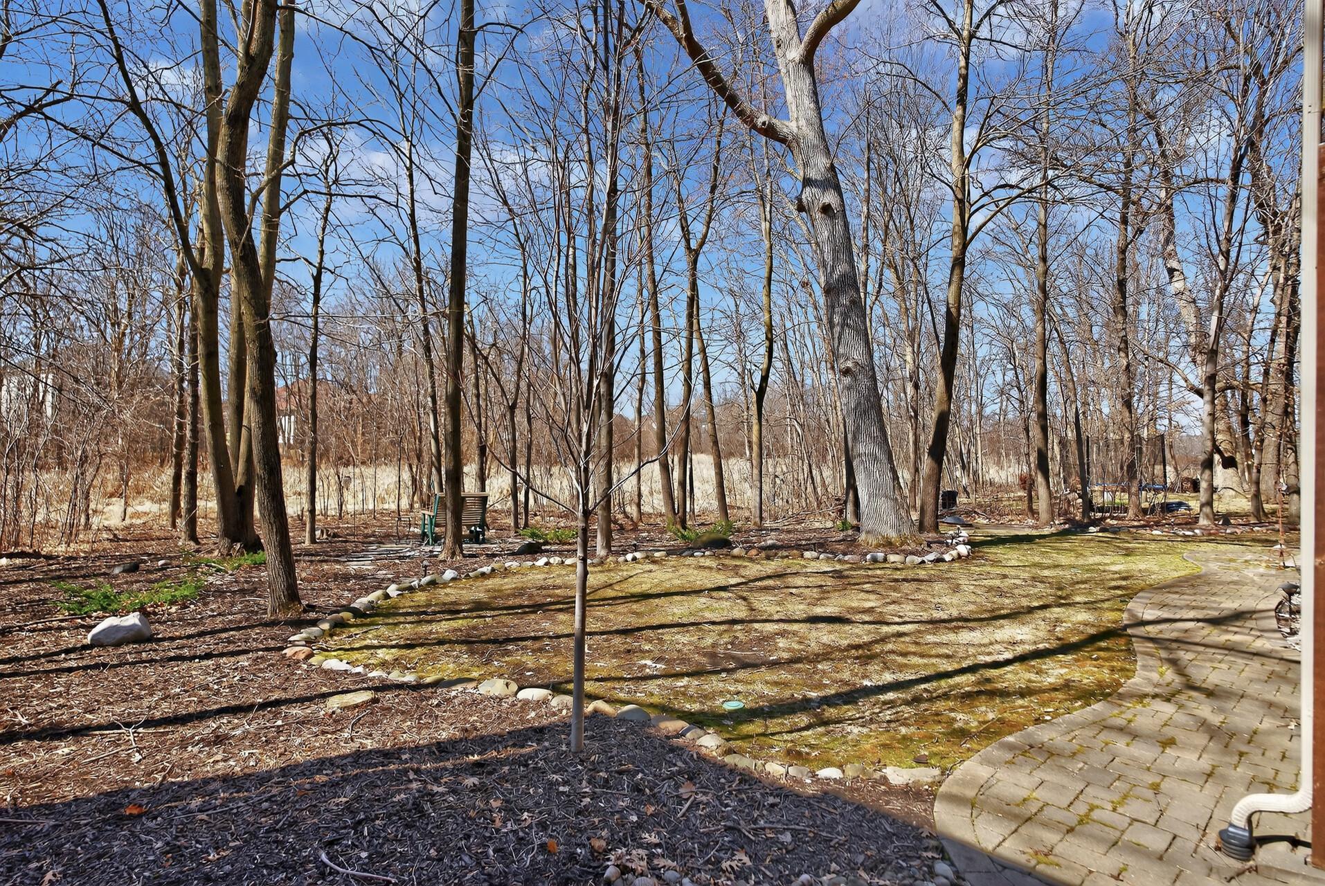 View of Residential at 9951 Vagabond Court, Maple Grove MN 55311, Maple Grove (75 of 101) - Mike Wilen | Minnesota Team Real Estate