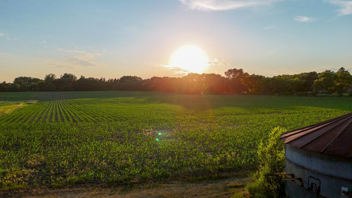 View of Land at 11261 Point Douglas Drive, Hastings MN 55033, Hastings (53 of 55) - Mike Wilen | Minnesota Team Real Estate