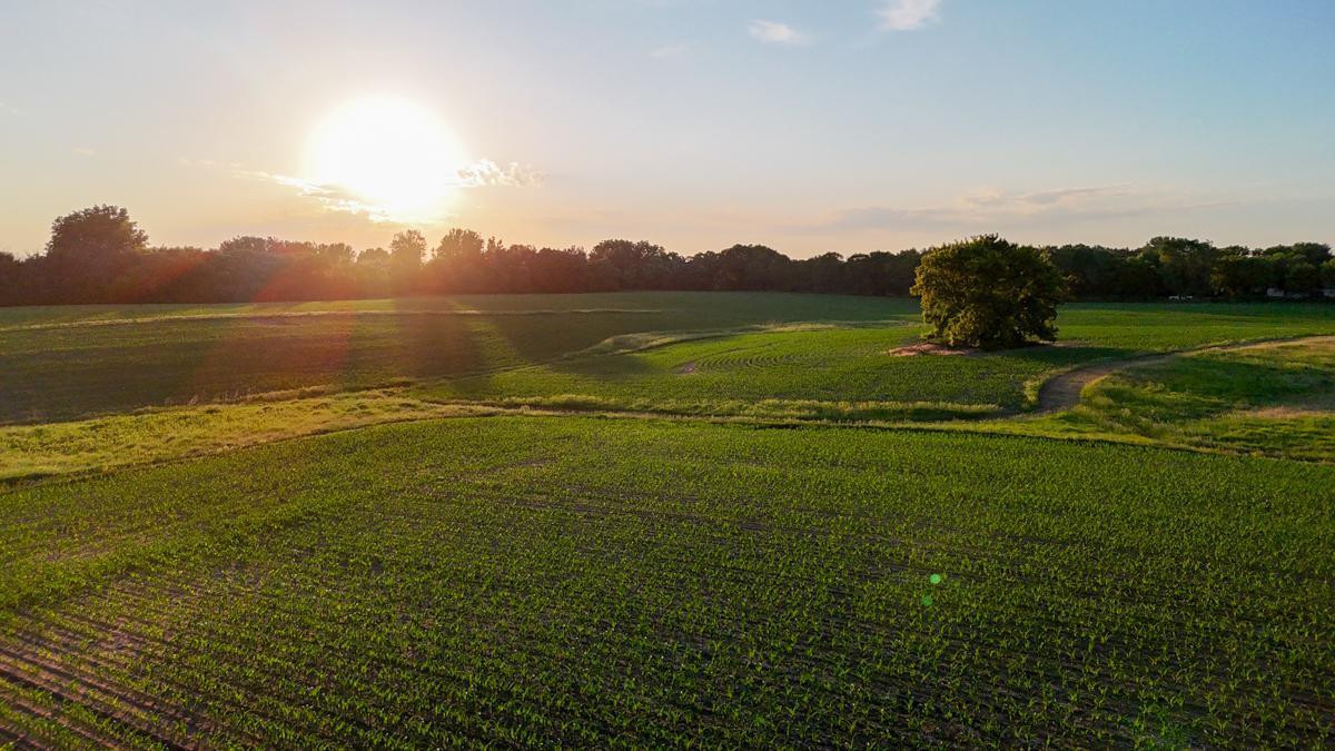 View of Land at 11261 Point Douglas Drive, Hastings MN 55033, Hastings (52 of 55) - Mike Wilen | Minnesota Team Real Estate