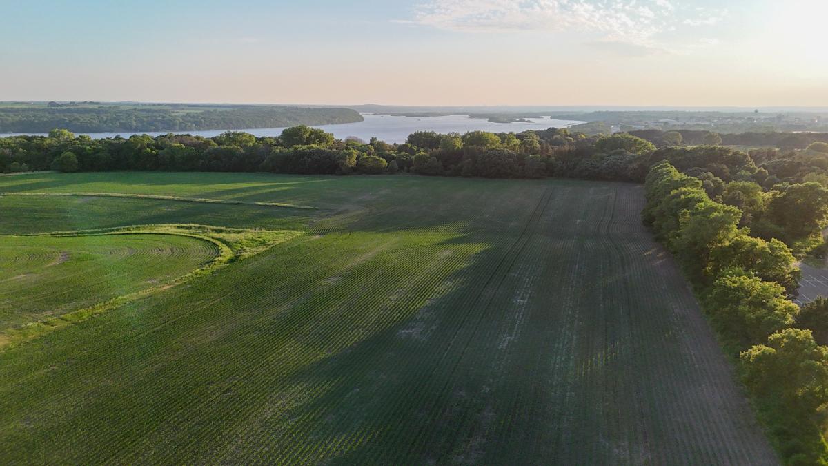 View of Land at 11261 Point Douglas Drive, Hastings MN 55033, Hastings (31 of 55) - Mike Wilen | Minnesota Team Real Estate
