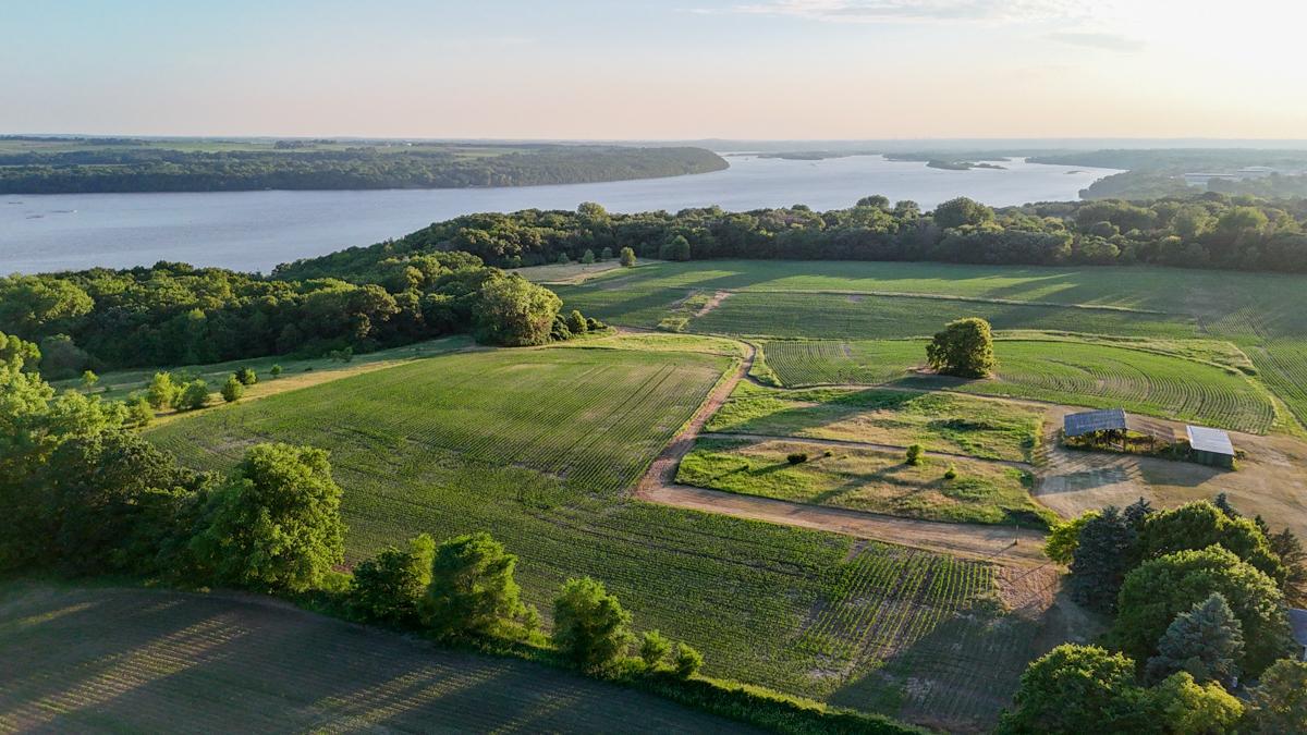 View of Land at 11261 Point Douglas Drive, Hastings MN 55033, Hastings (24 of 55) - Mike Wilen | Minnesota Team Real Estate